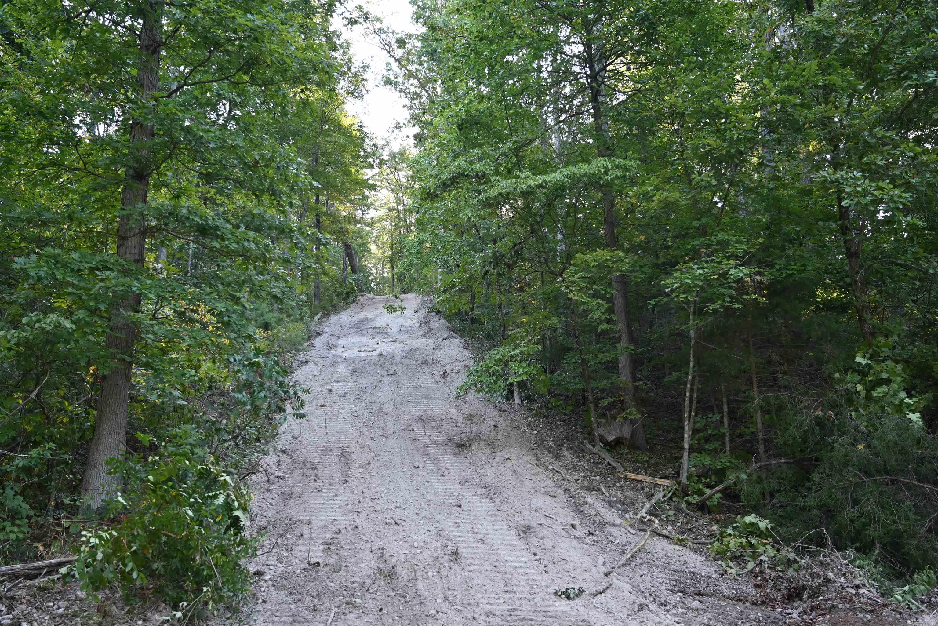 3875 Tomahawk Slab  Saint Joe, AR