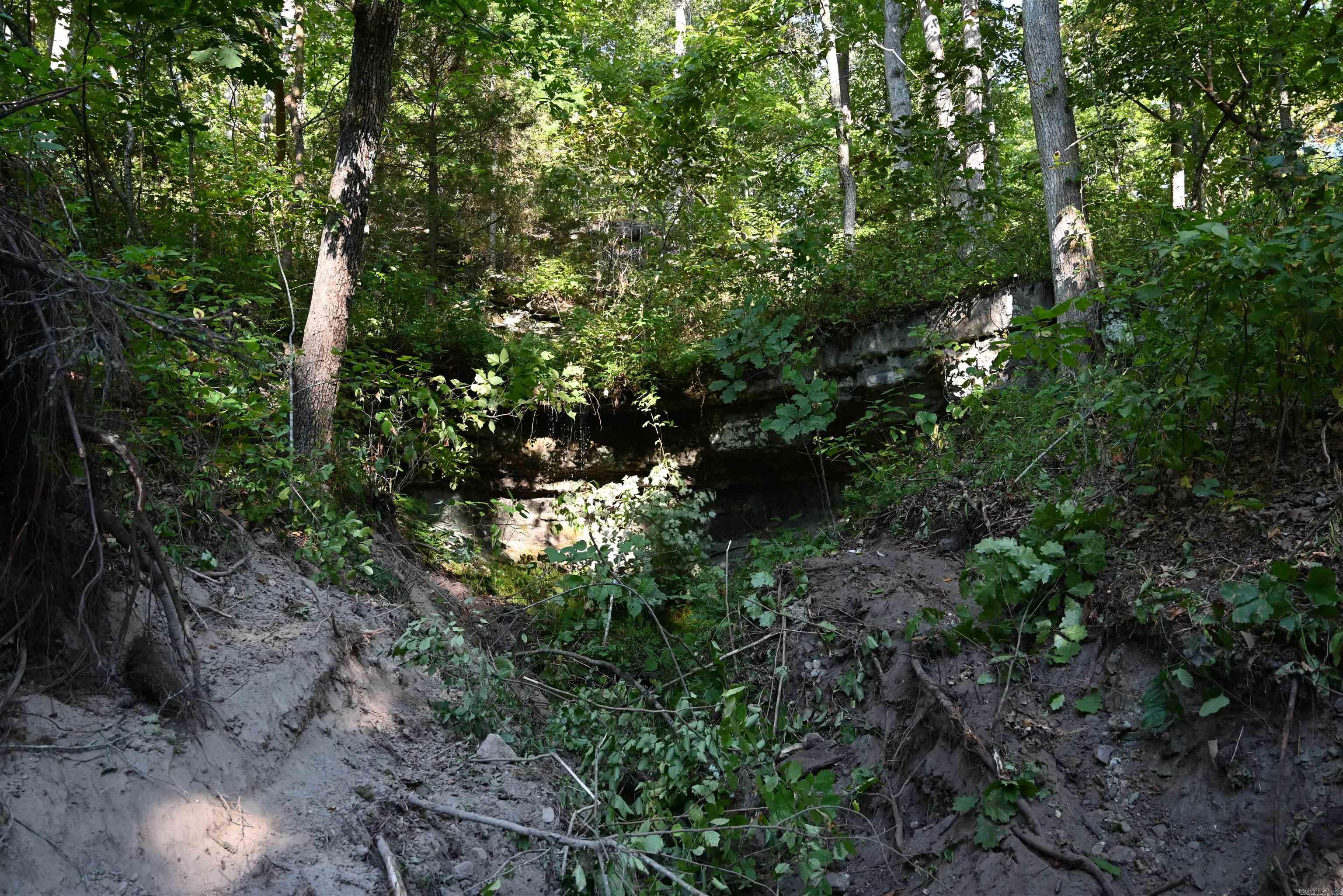 3875 Tomahawk Slab  Saint Joe, AR