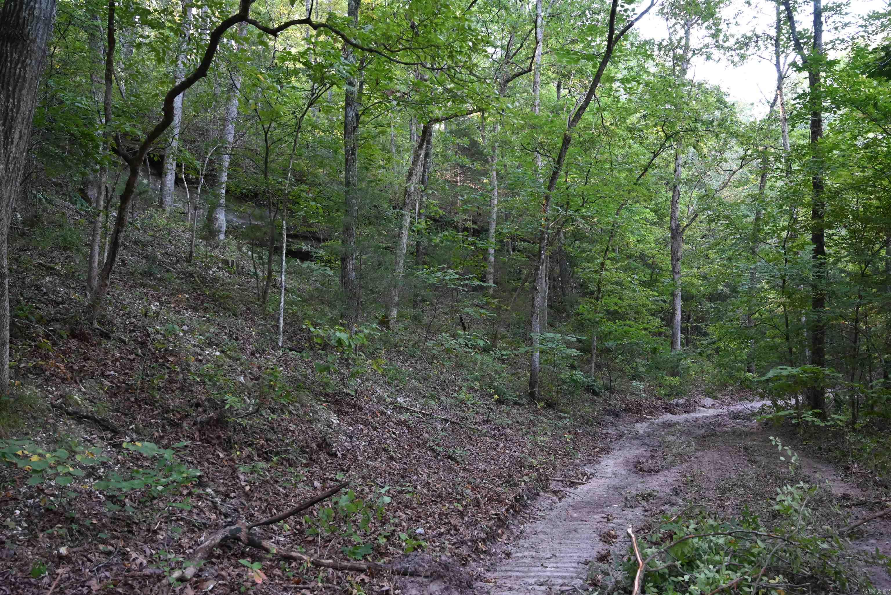 3875 Tomahawk Slab  Saint Joe, AR