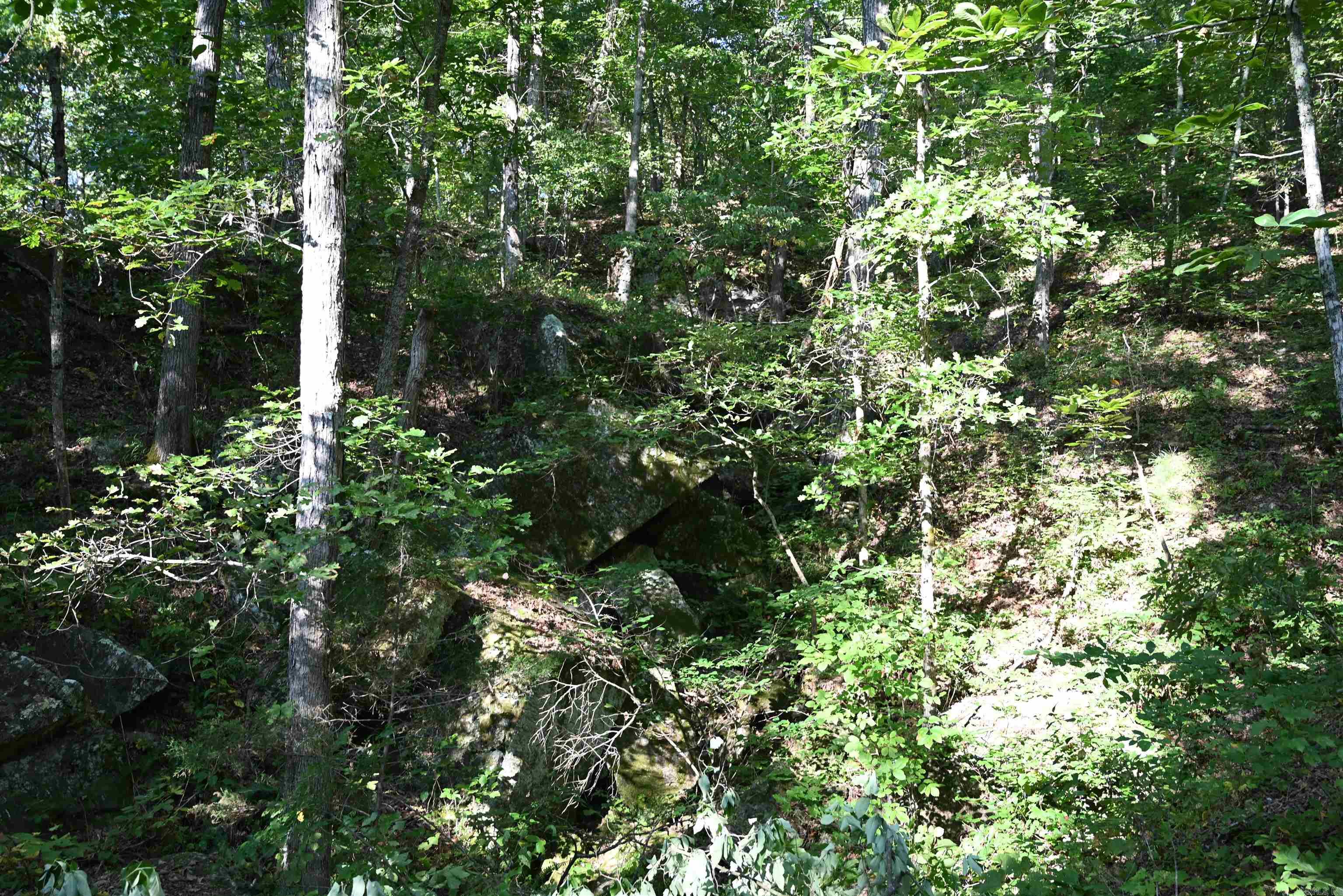 3875 Tomahawk Slab  Saint Joe, AR