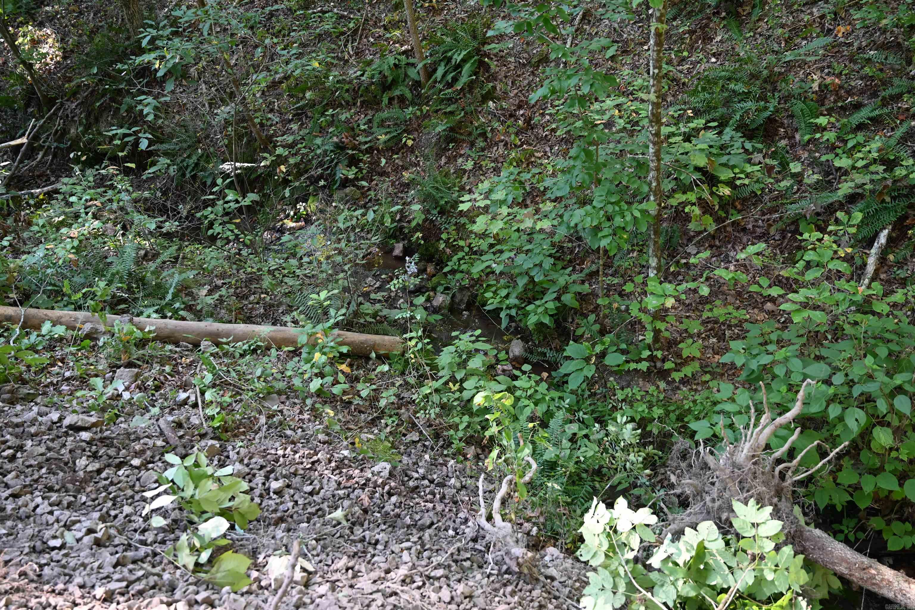 3875 Tomahawk Slab  Saint Joe, AR