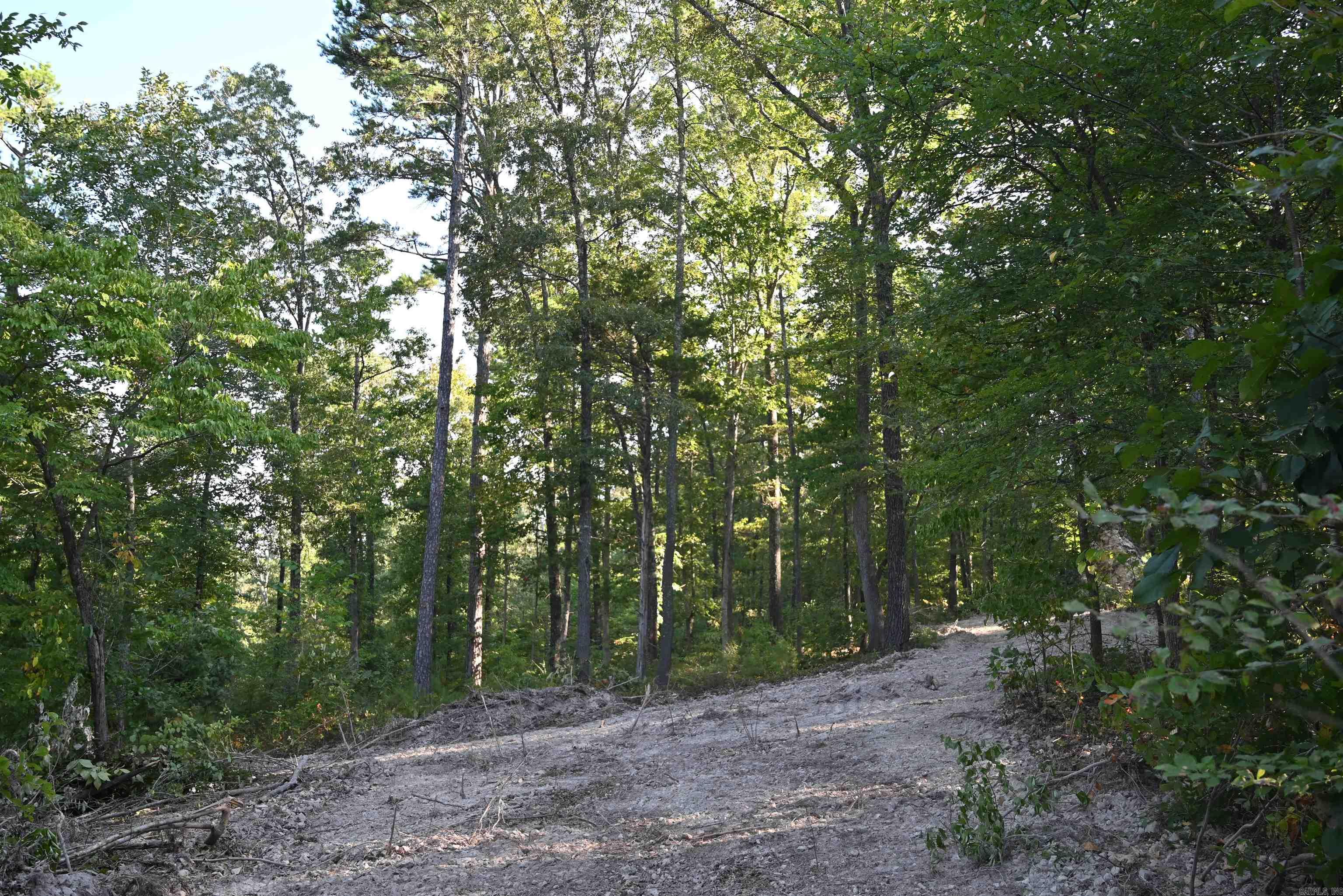 3875 Tomahawk Slab  Saint Joe, AR