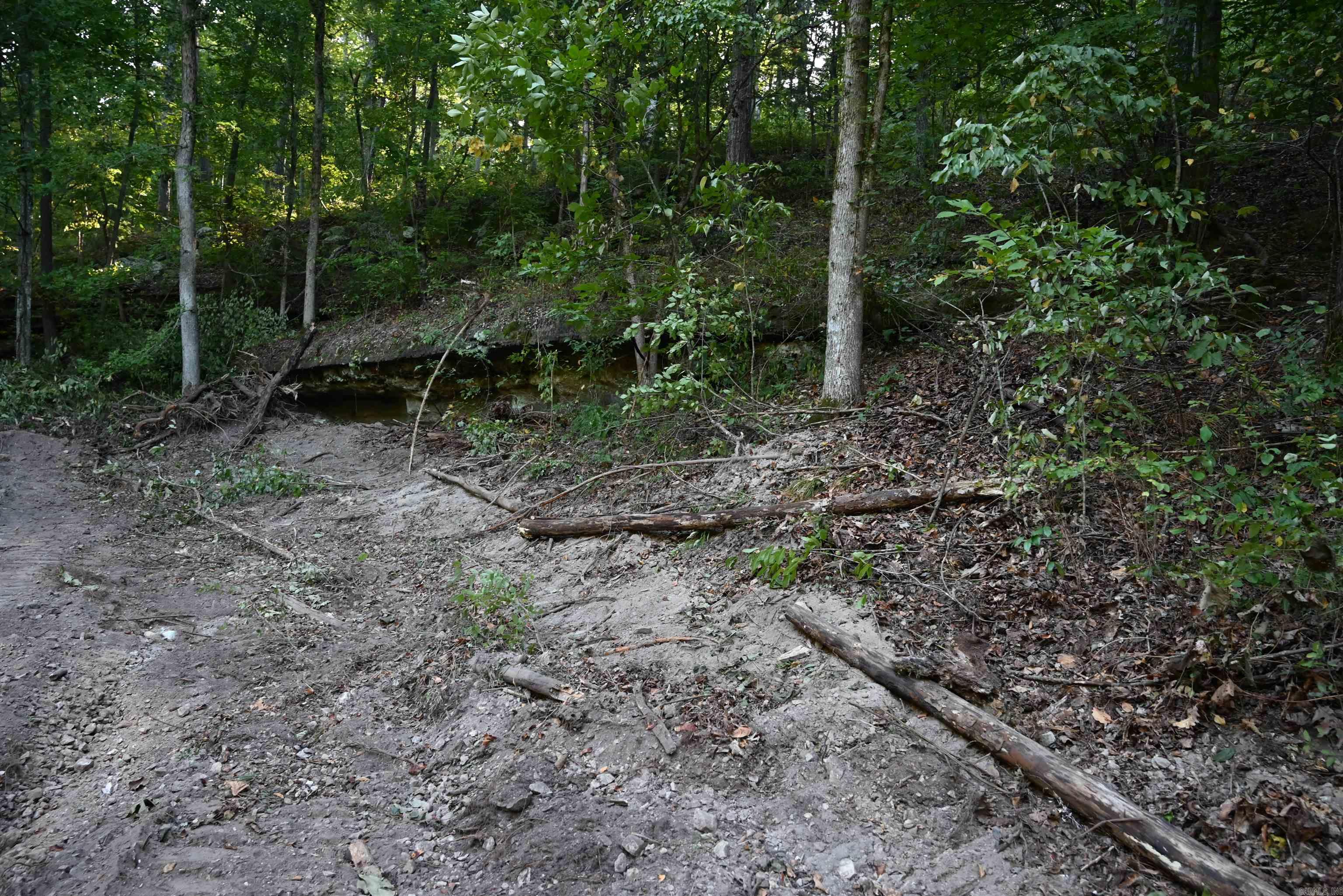 3875 Tomahawk Slab  Saint Joe, AR