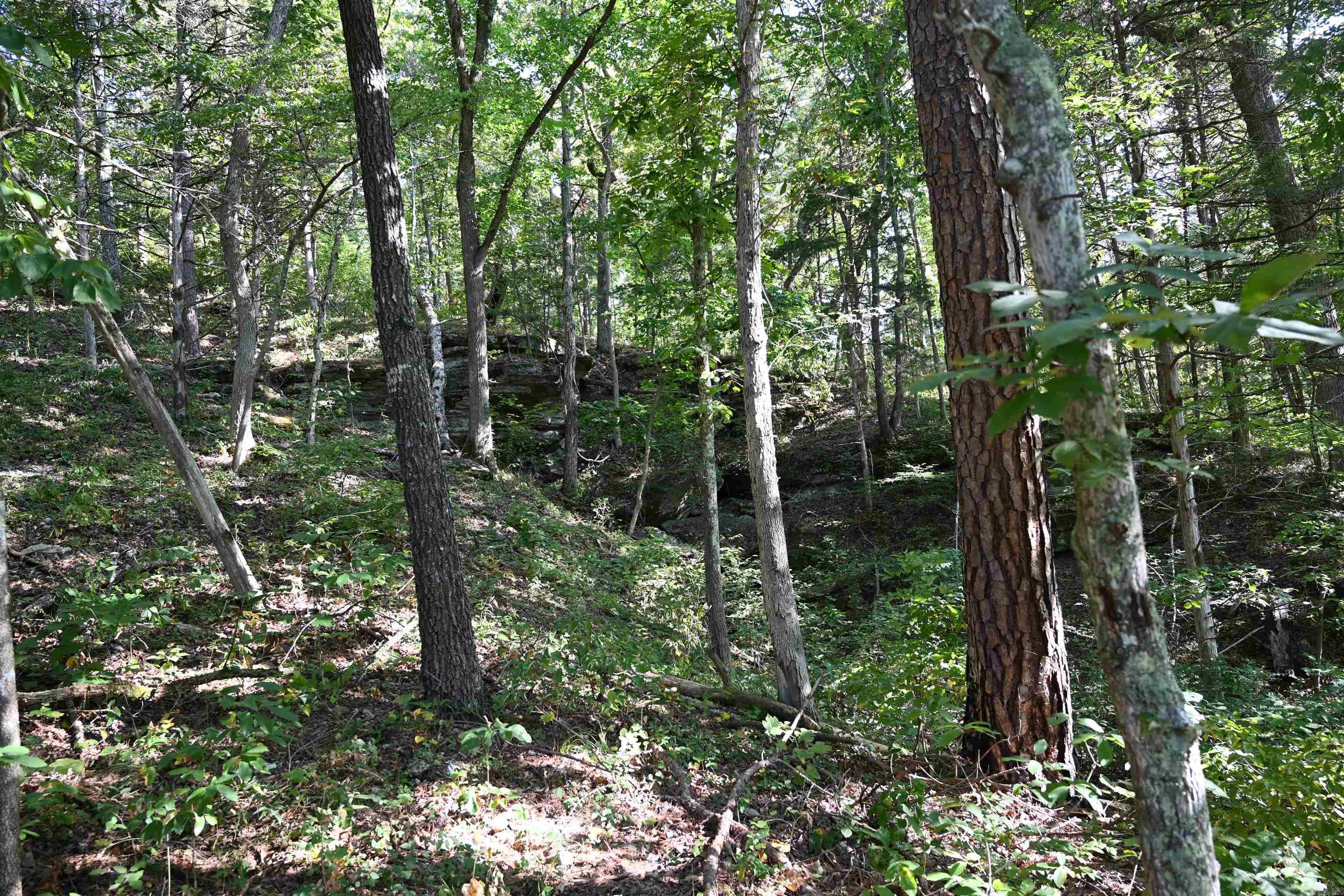 3875 Tomahawk Slab  Saint Joe, AR