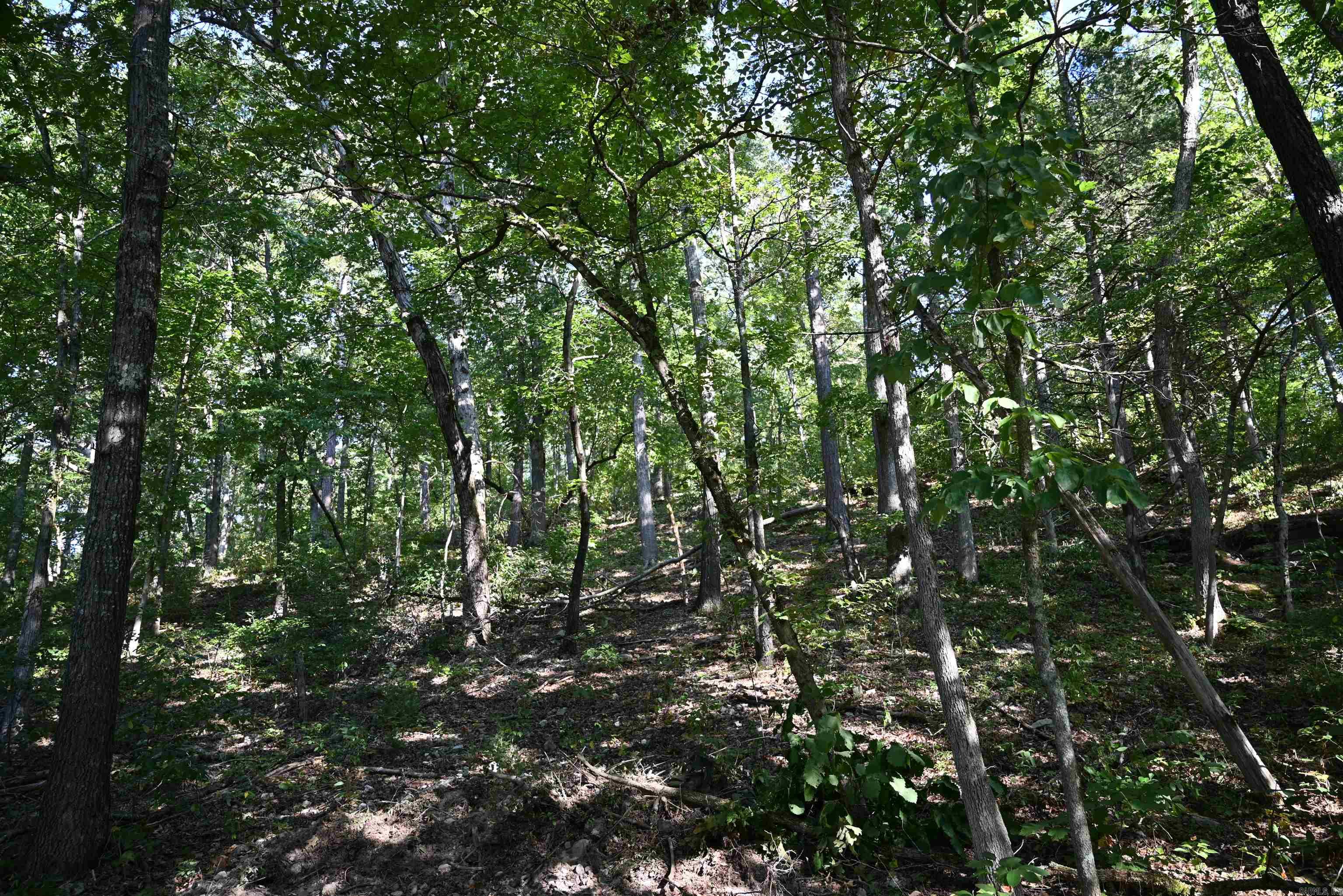 3875 Tomahawk Slab  Saint Joe, AR