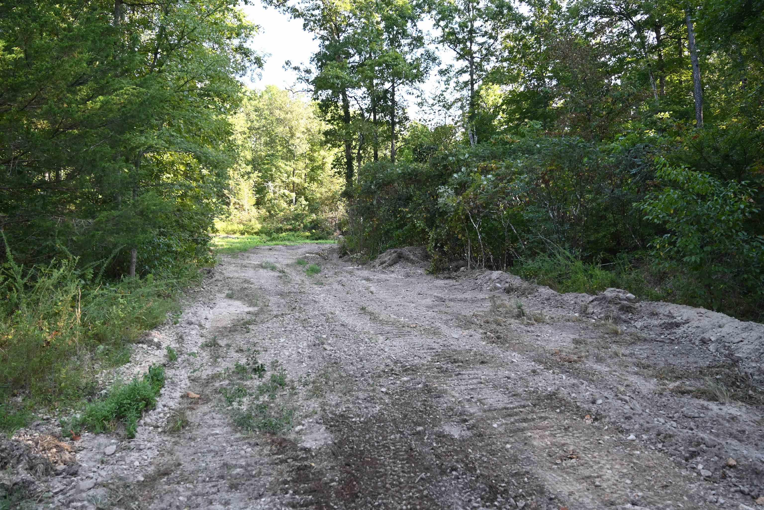 3875 Tomahawk Slab  Saint Joe, AR