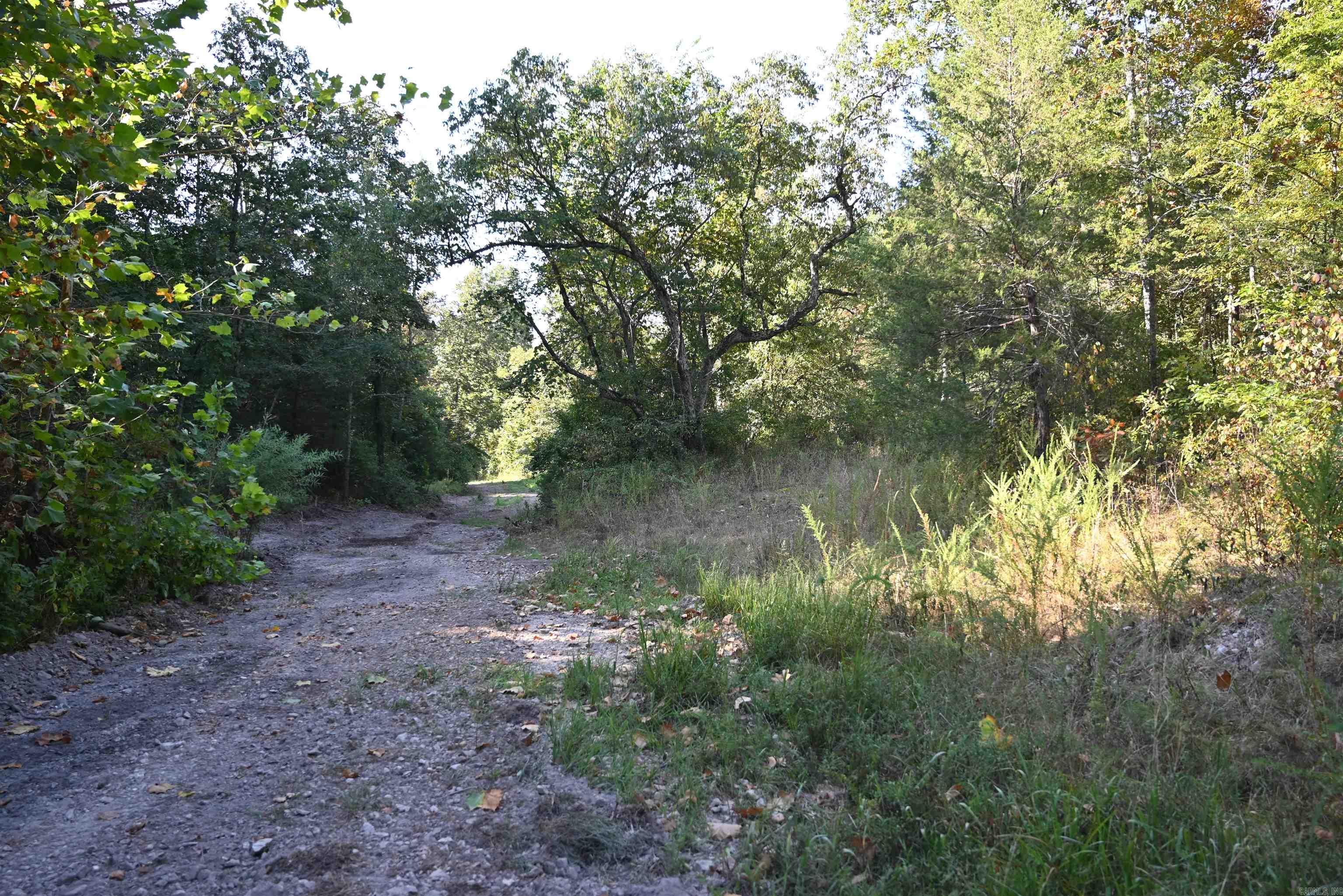 3875 Tomahawk Slab  Saint Joe, AR