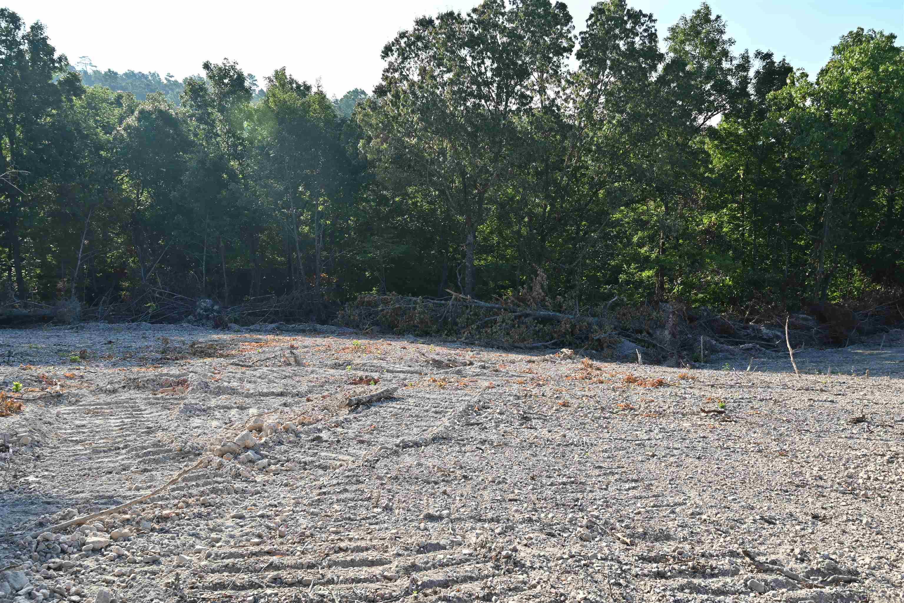 3875 Tomahawk Slab  Saint Joe, AR