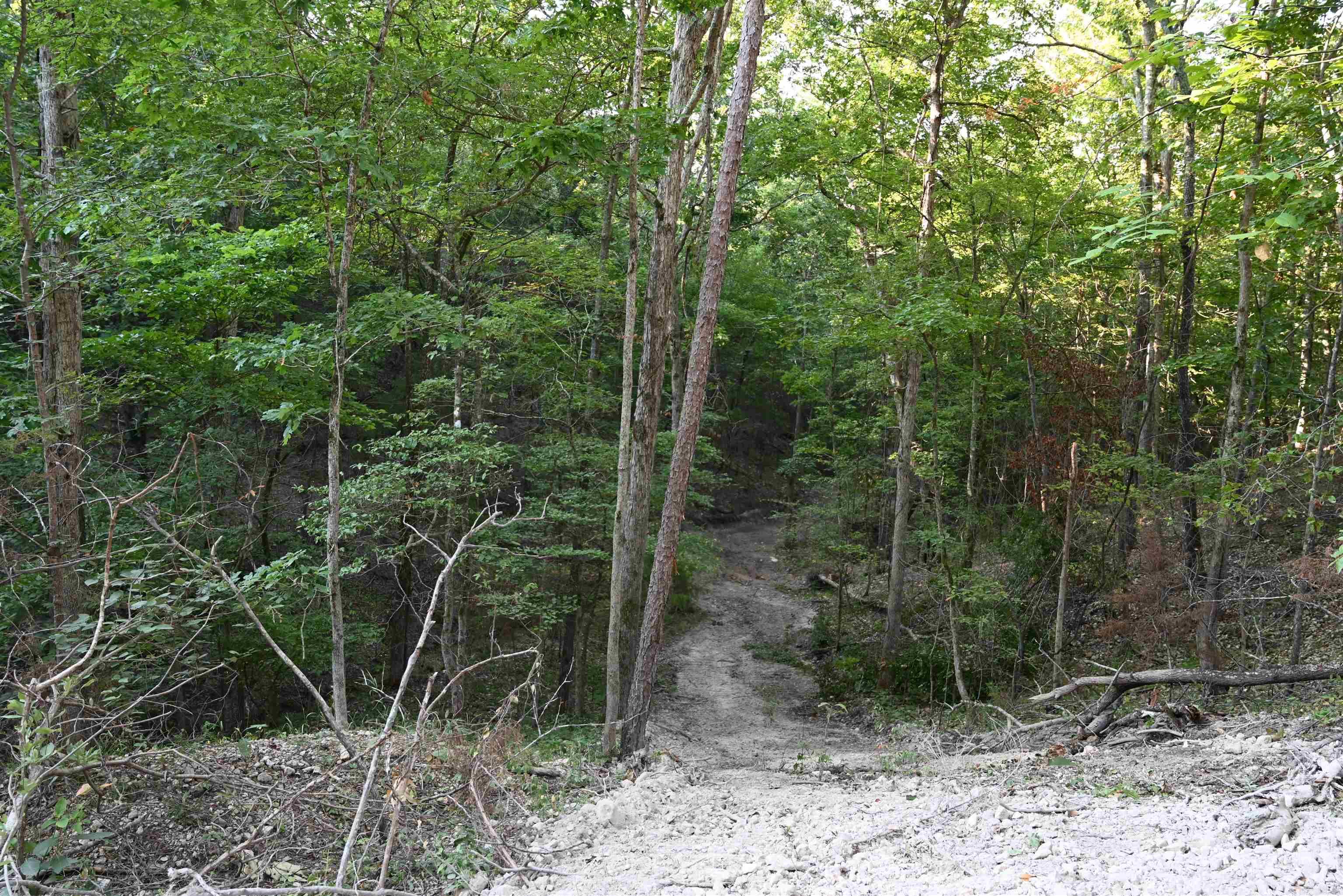 3875 Tomahawk Slab  Saint Joe, AR