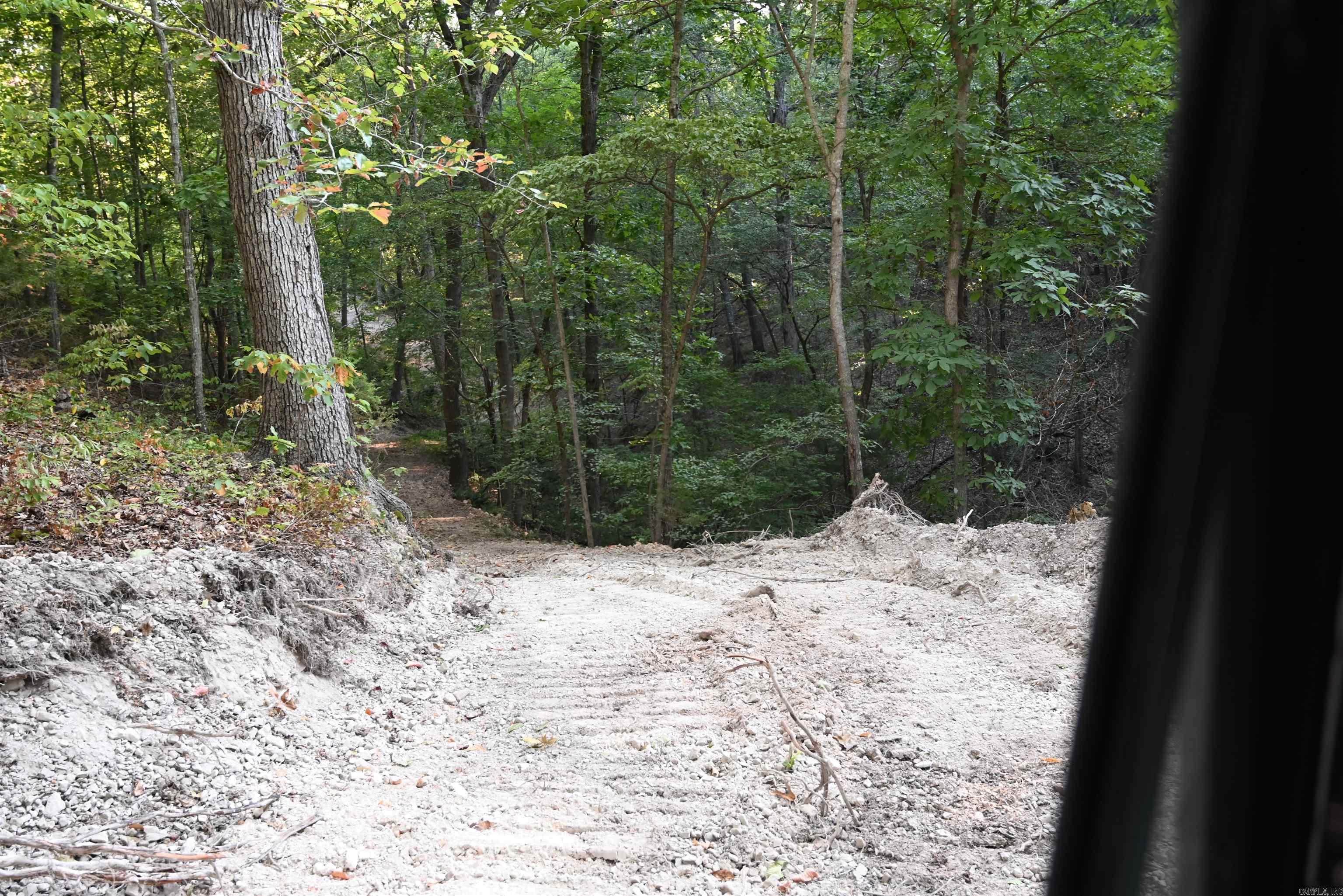 3875 Tomahawk Slab  Saint Joe, AR