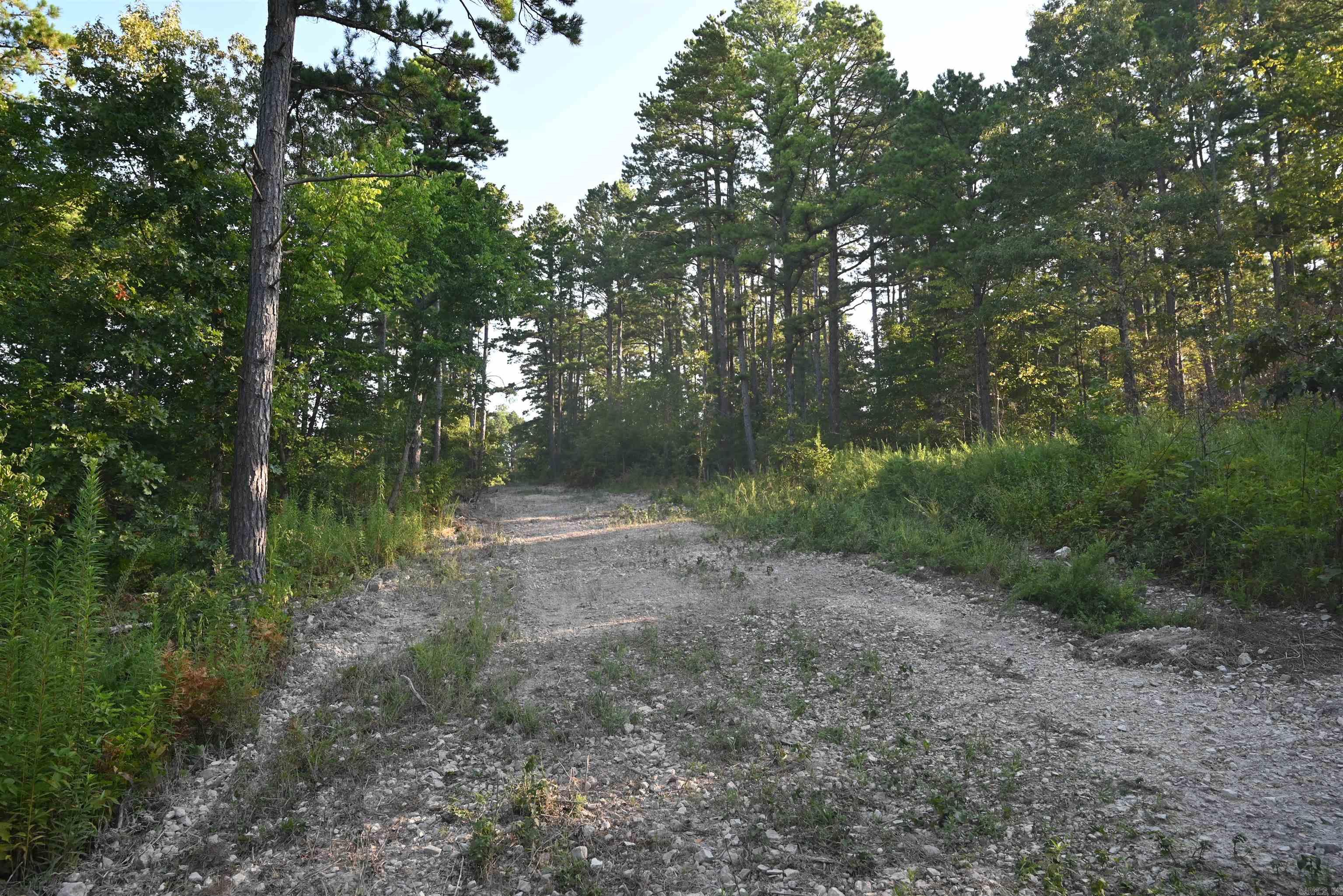 3875 Tomahawk Slab  Saint Joe, AR