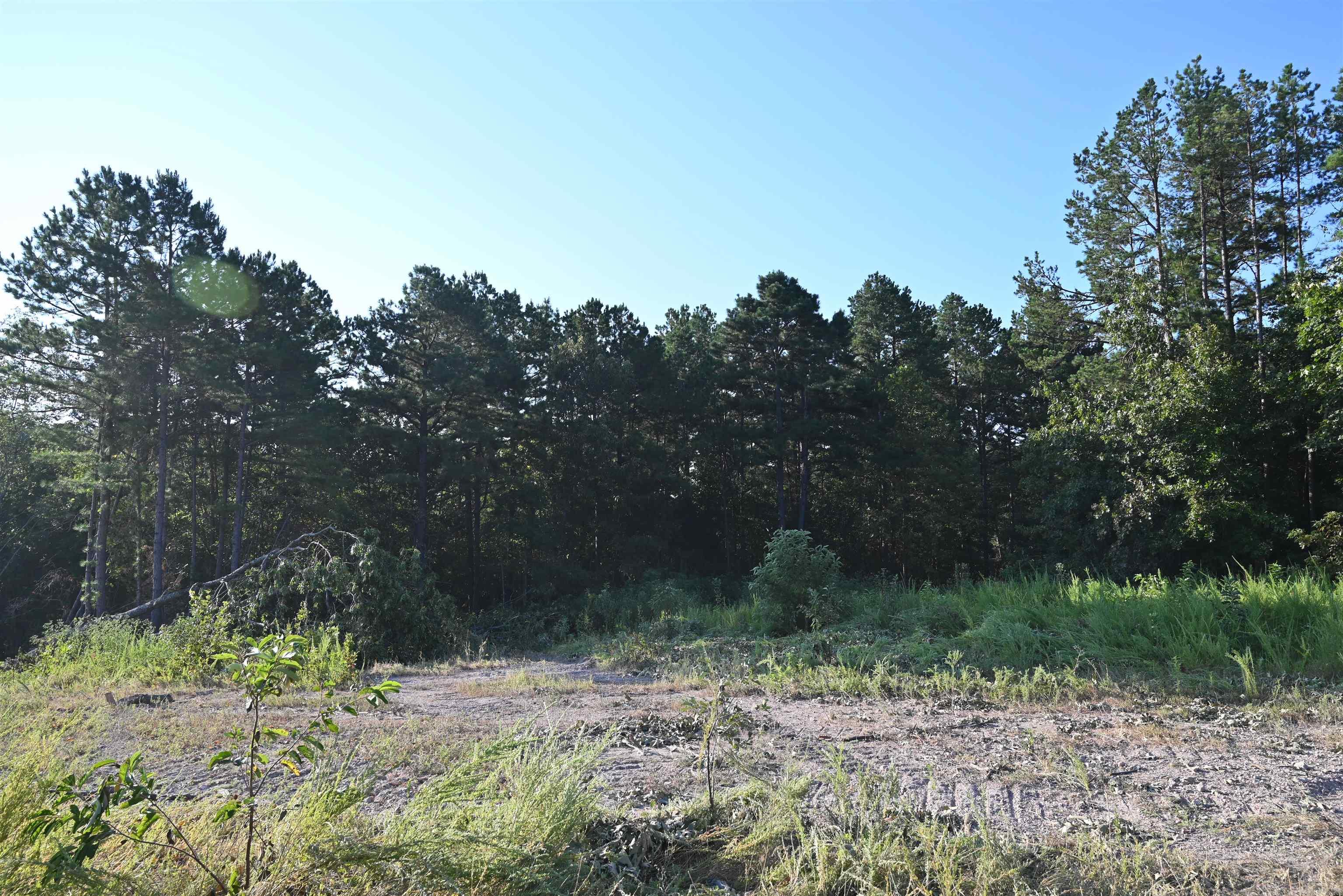 3875 Tomahawk Slab  Saint Joe, AR