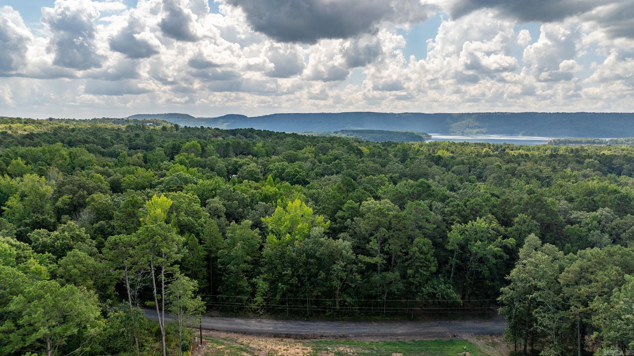 251 Sally Ann Dr.  Shirley, AR