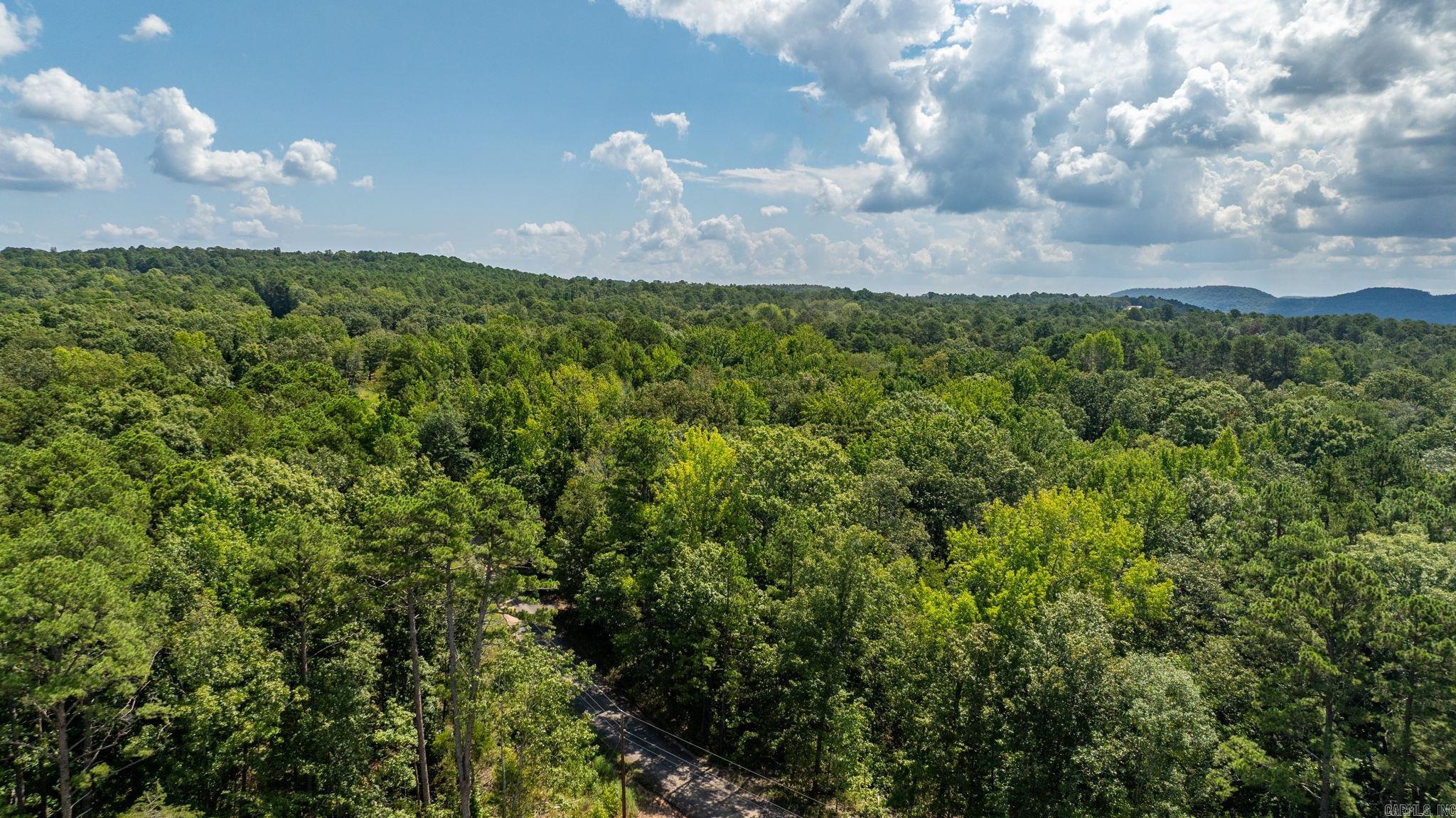 251 Sally Ann Dr.  Shirley, AR