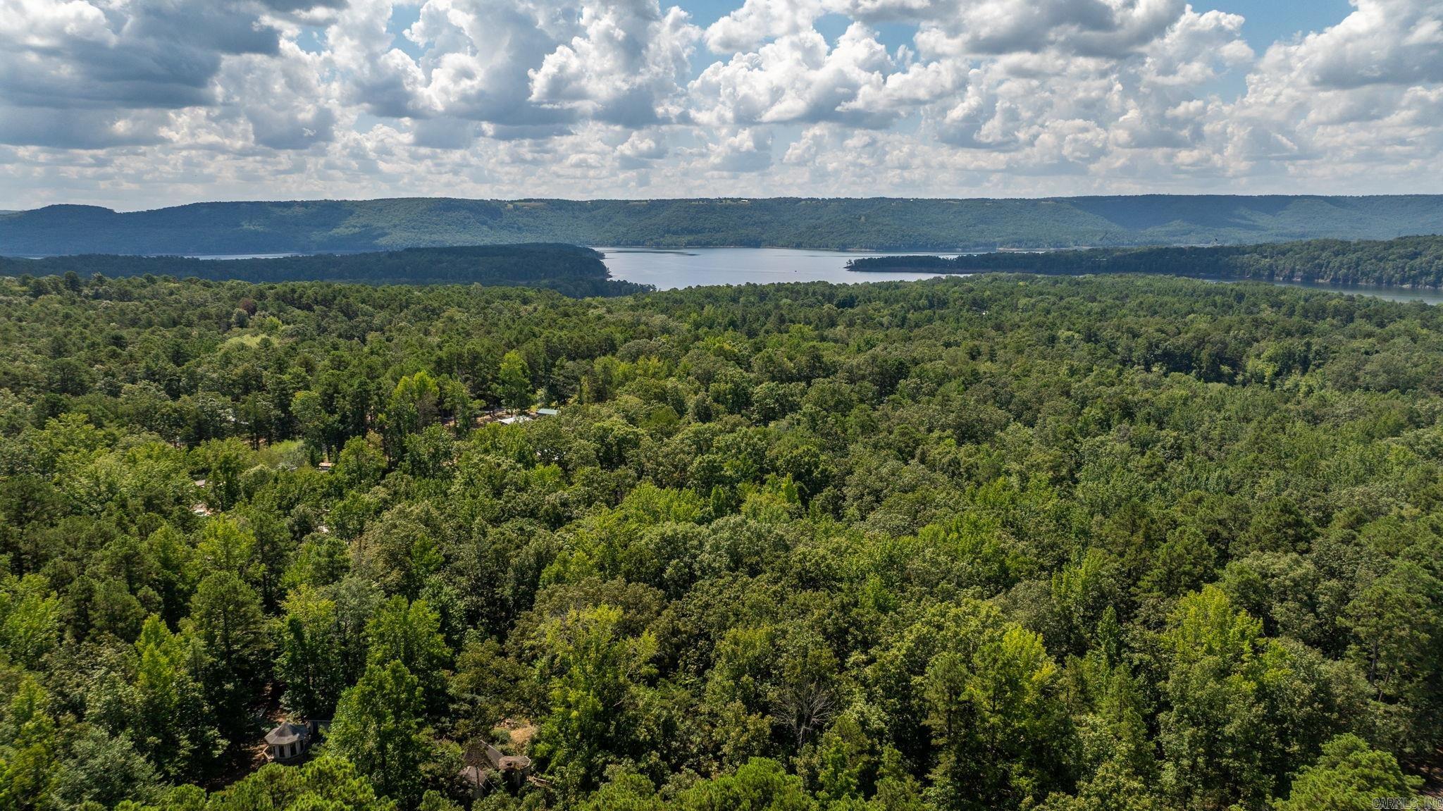 251 Sally Ann Dr.  Shirley, AR