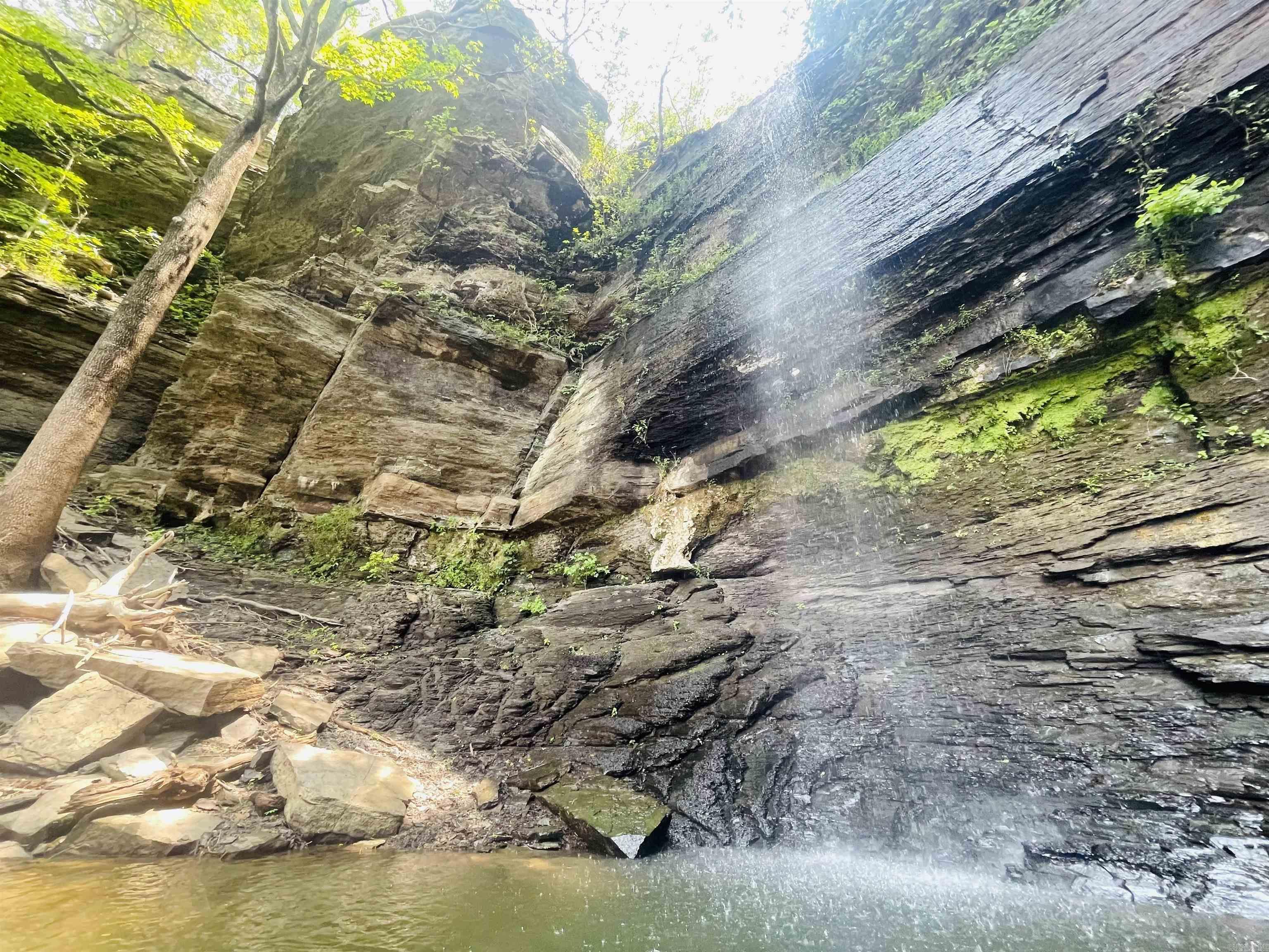 251 Sally Ann Dr.  Shirley, AR