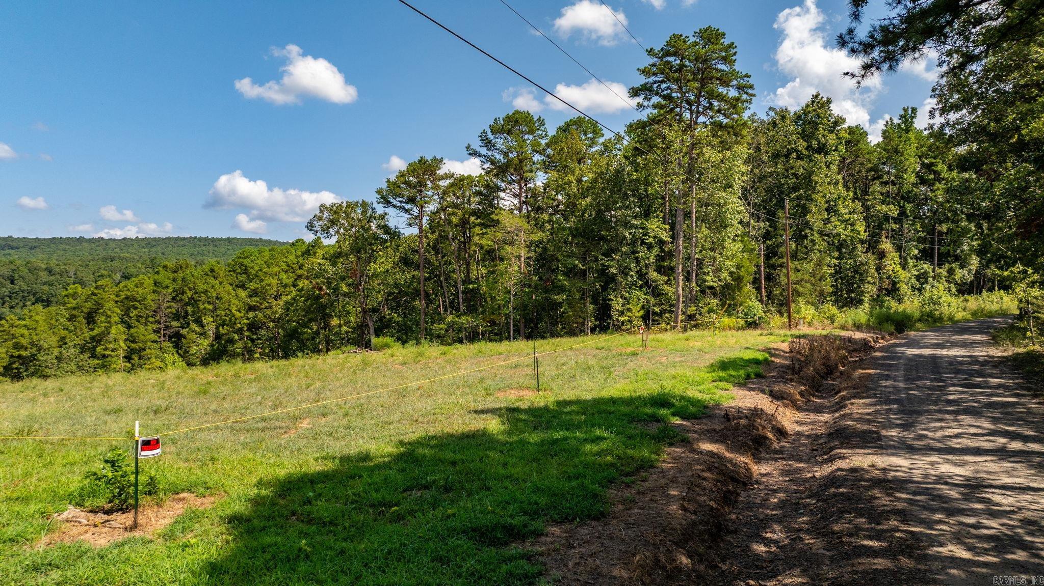 251 Sally Ann Dr.  Shirley, AR