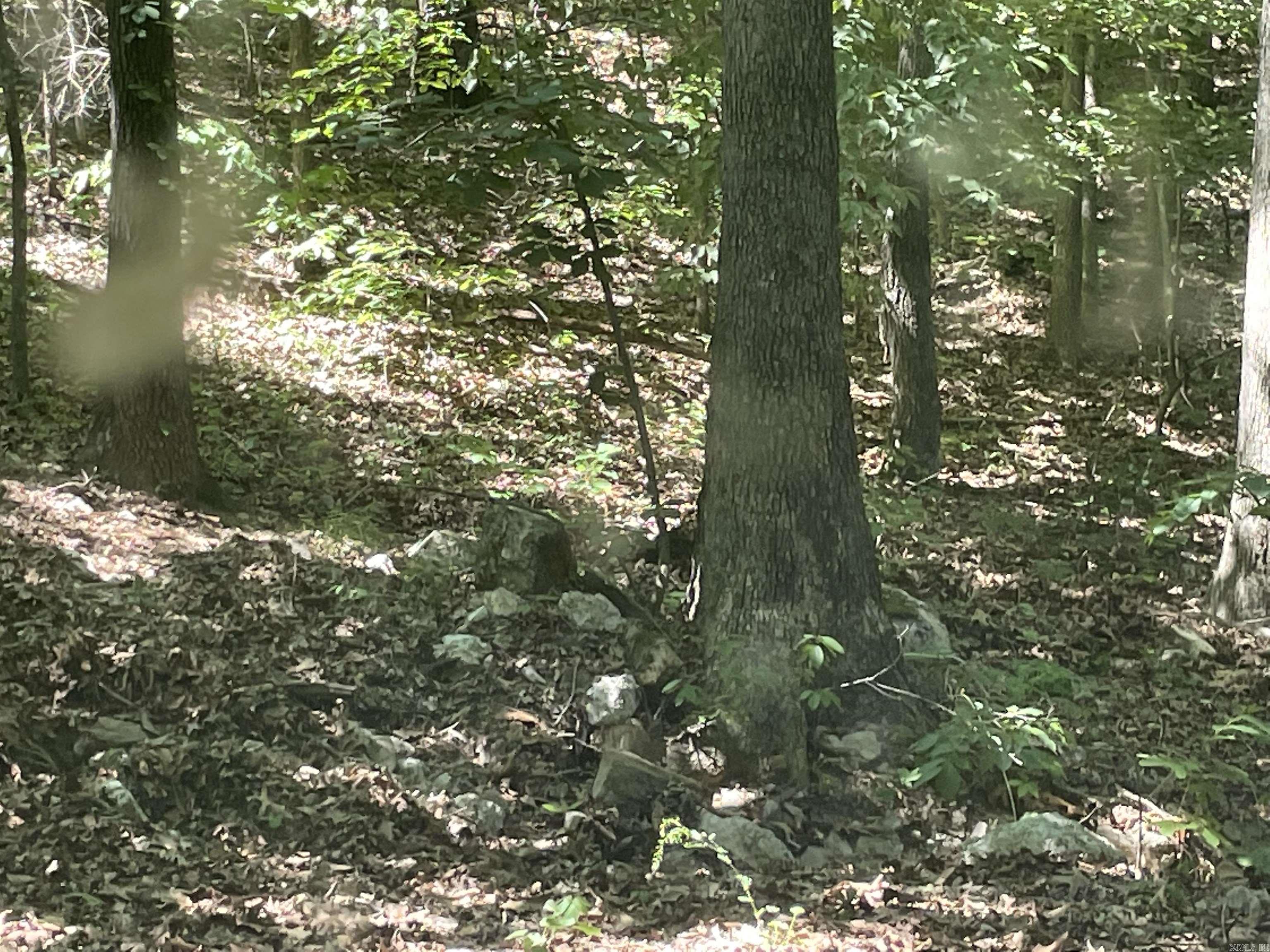 141 Duncan Ln  Poughkeepsie, AR