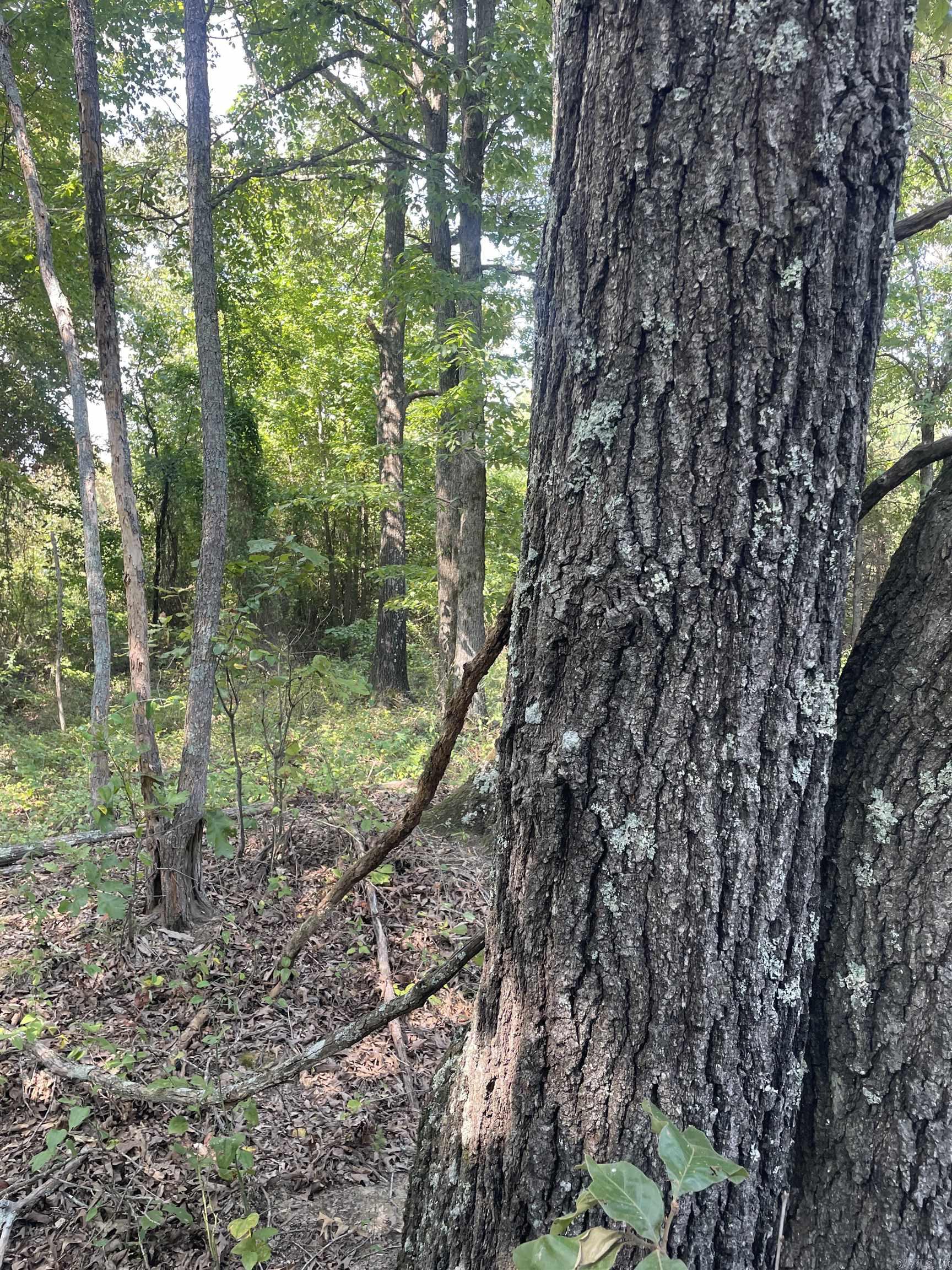 141 Duncan Ln  Poughkeepsie, AR