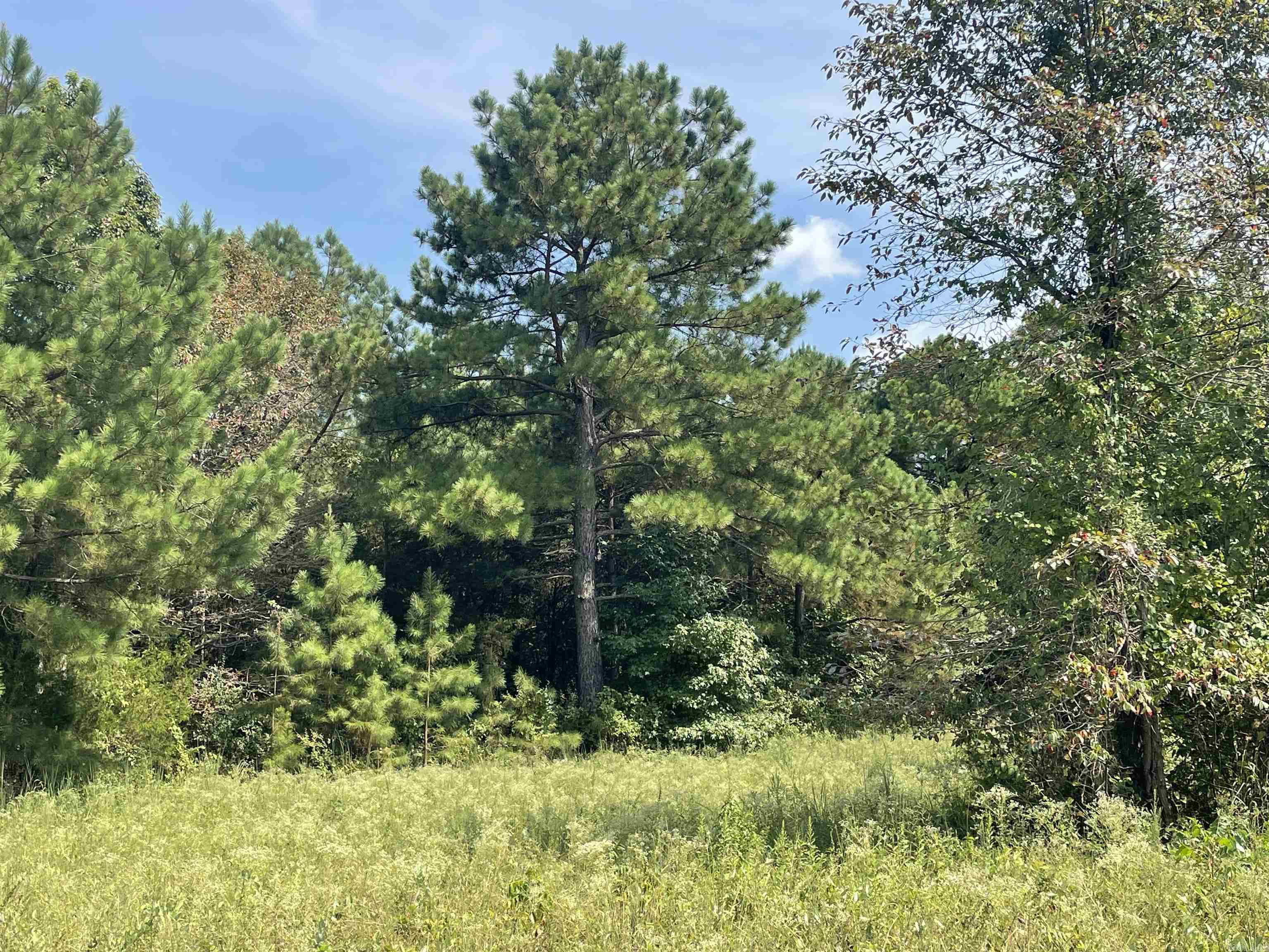 141 Duncan Ln  Poughkeepsie, AR