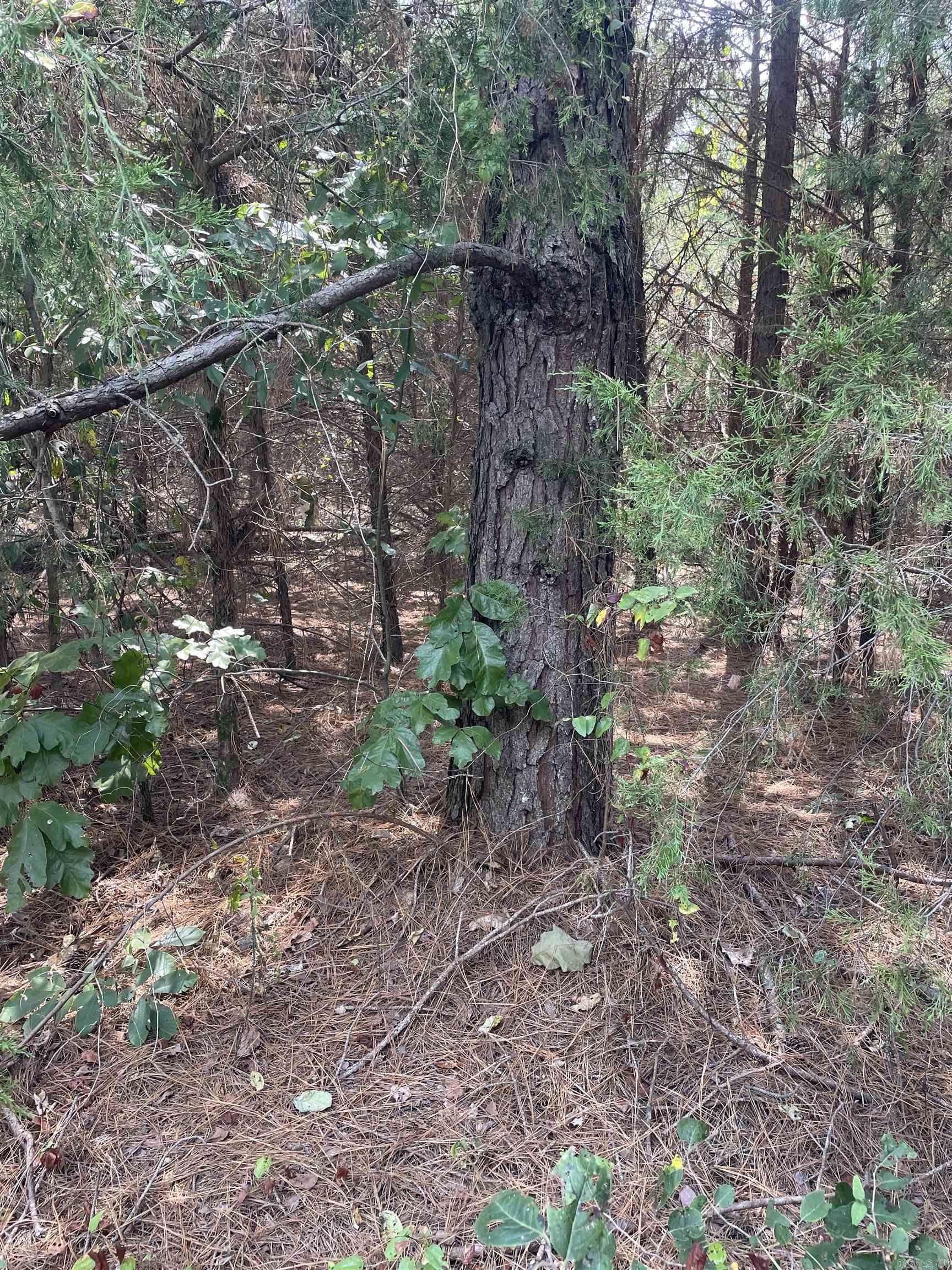 141 Duncan Ln  Poughkeepsie, AR