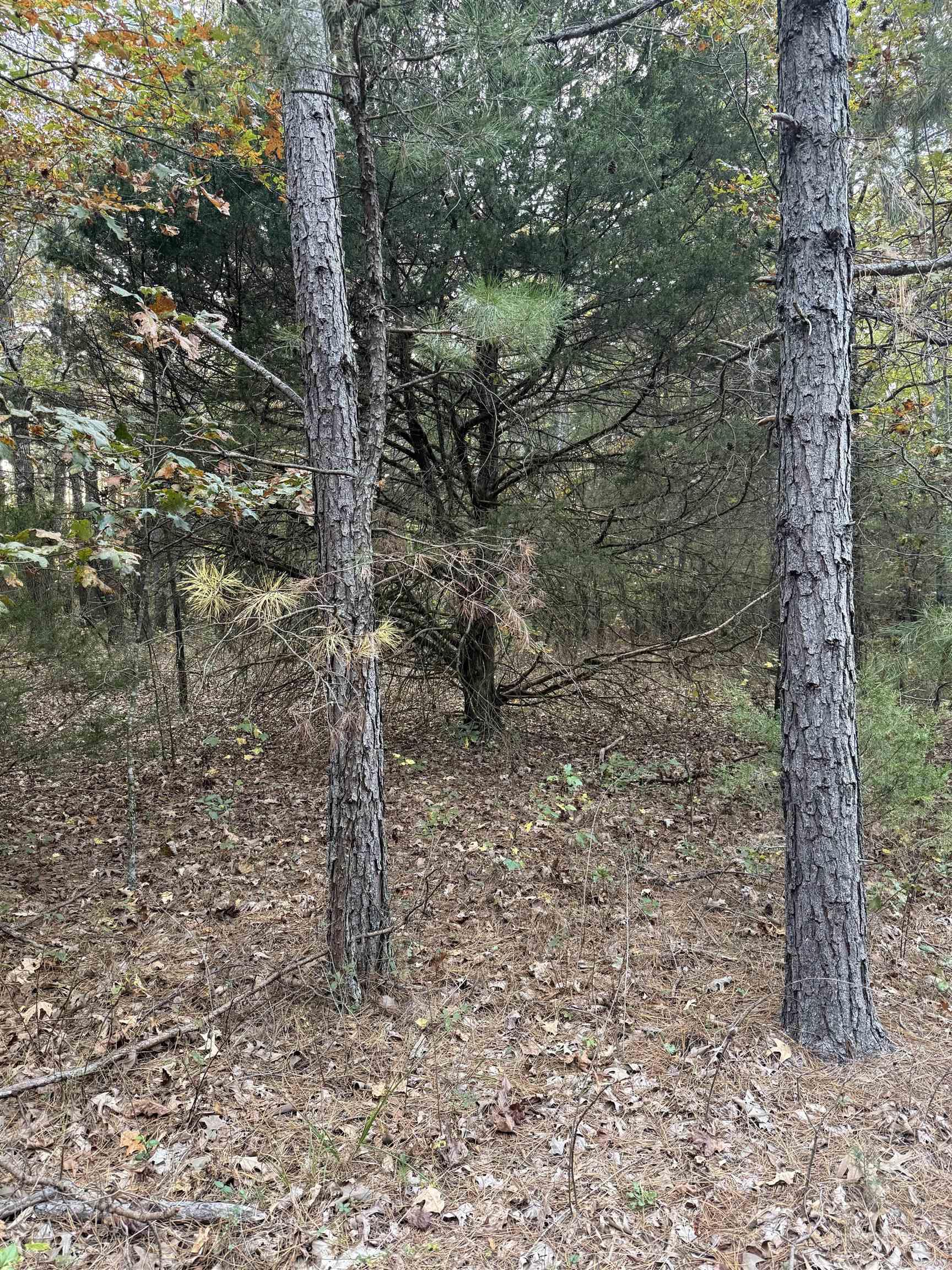 141 Duncan Ln  Poughkeepsie, AR