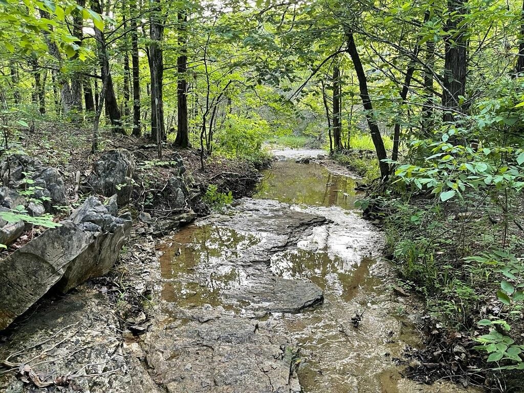 4 Kee Trl Hardy, AR 72529