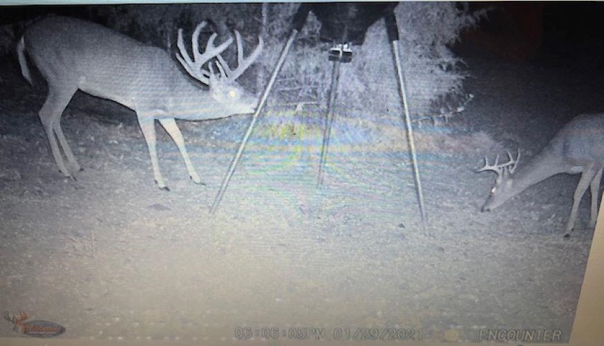 4 Kee Trl Hardy, AR 72529