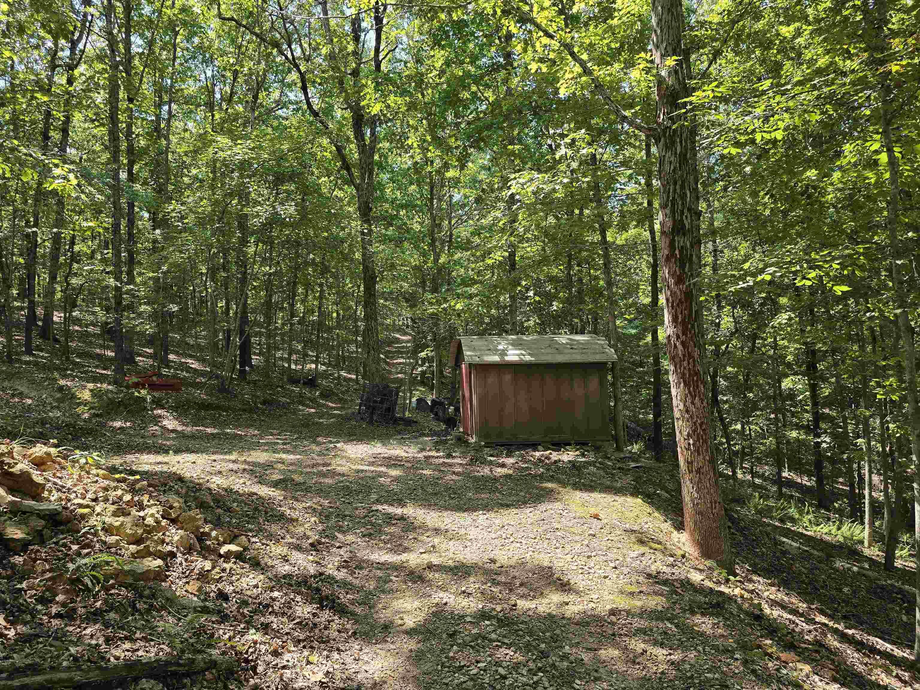 2732 Mitchell Road Mountain View, AR 72560