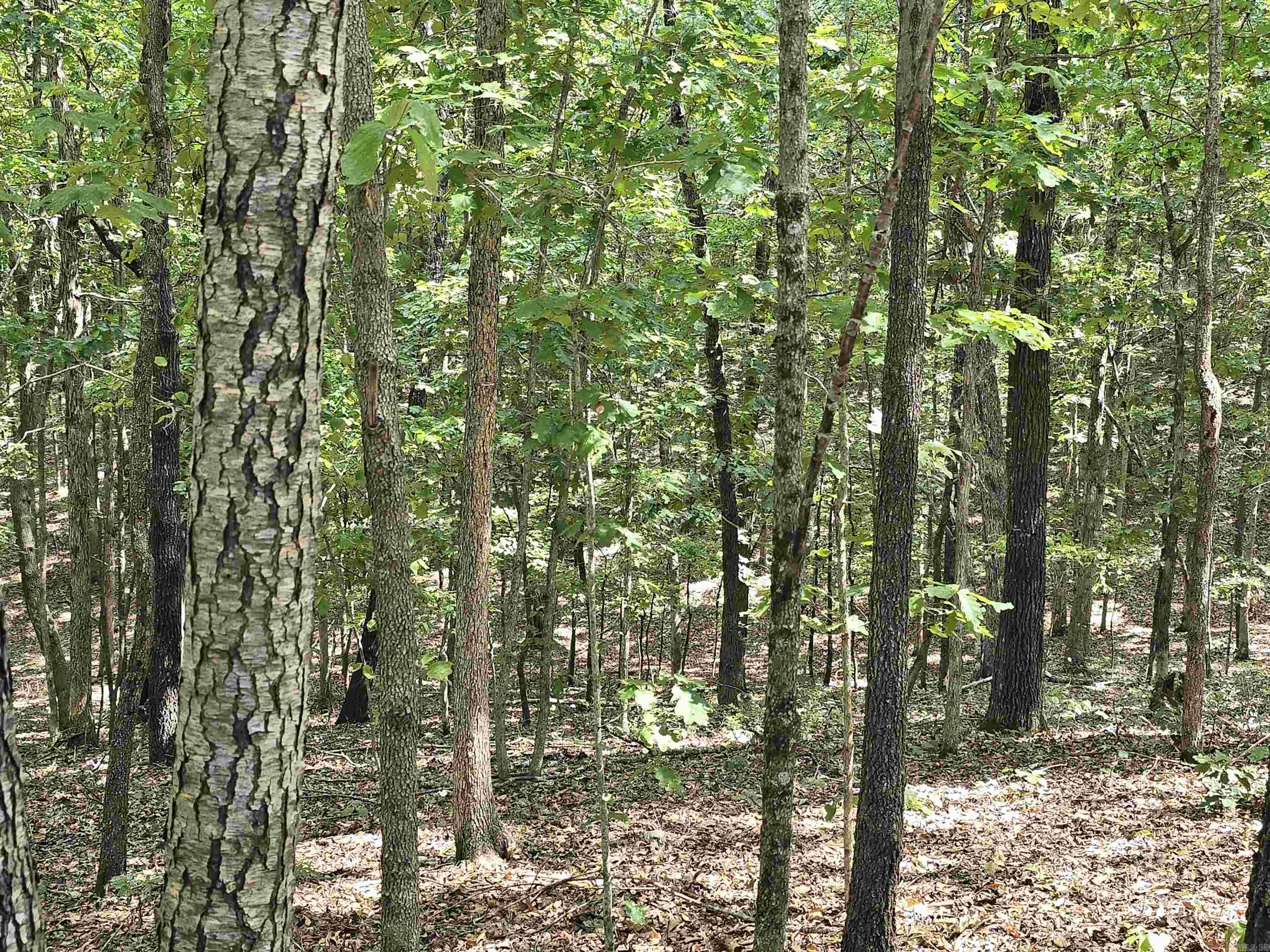 2732 Mitchell Road Mountain View, AR 72560