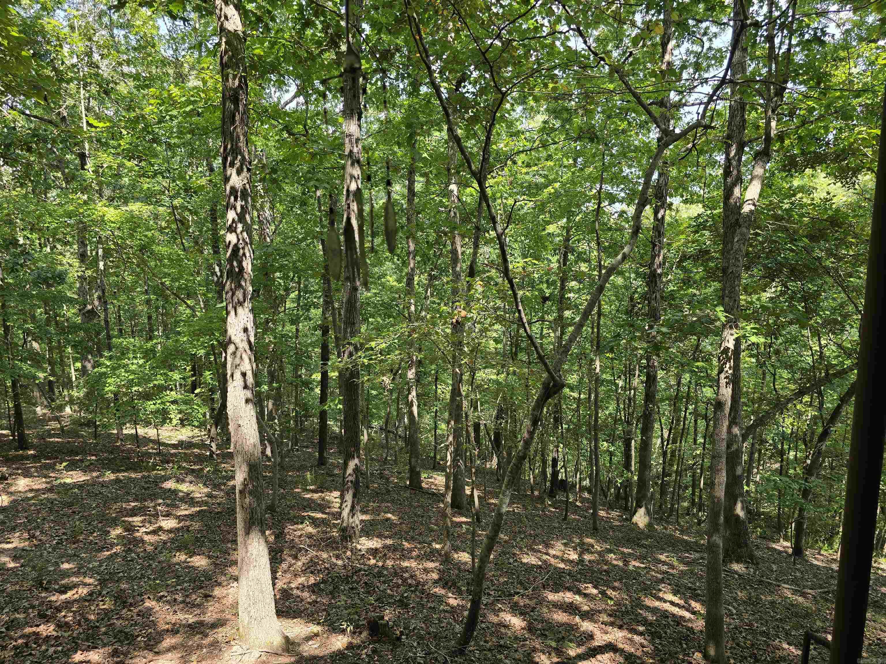 2732 Mitchell Road Mountain View, AR 72560