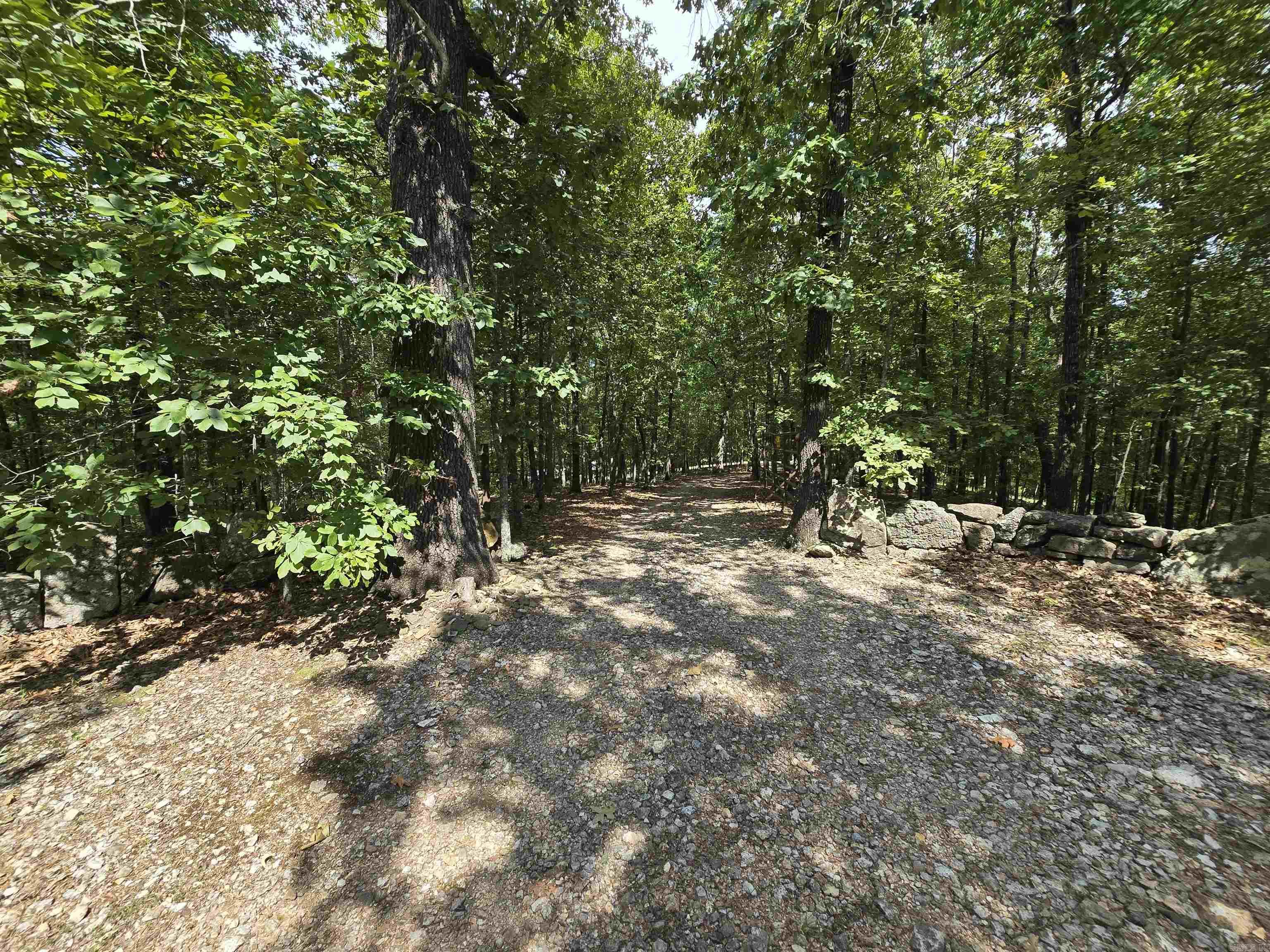 2732 Mitchell Road Mountain View, AR 72560