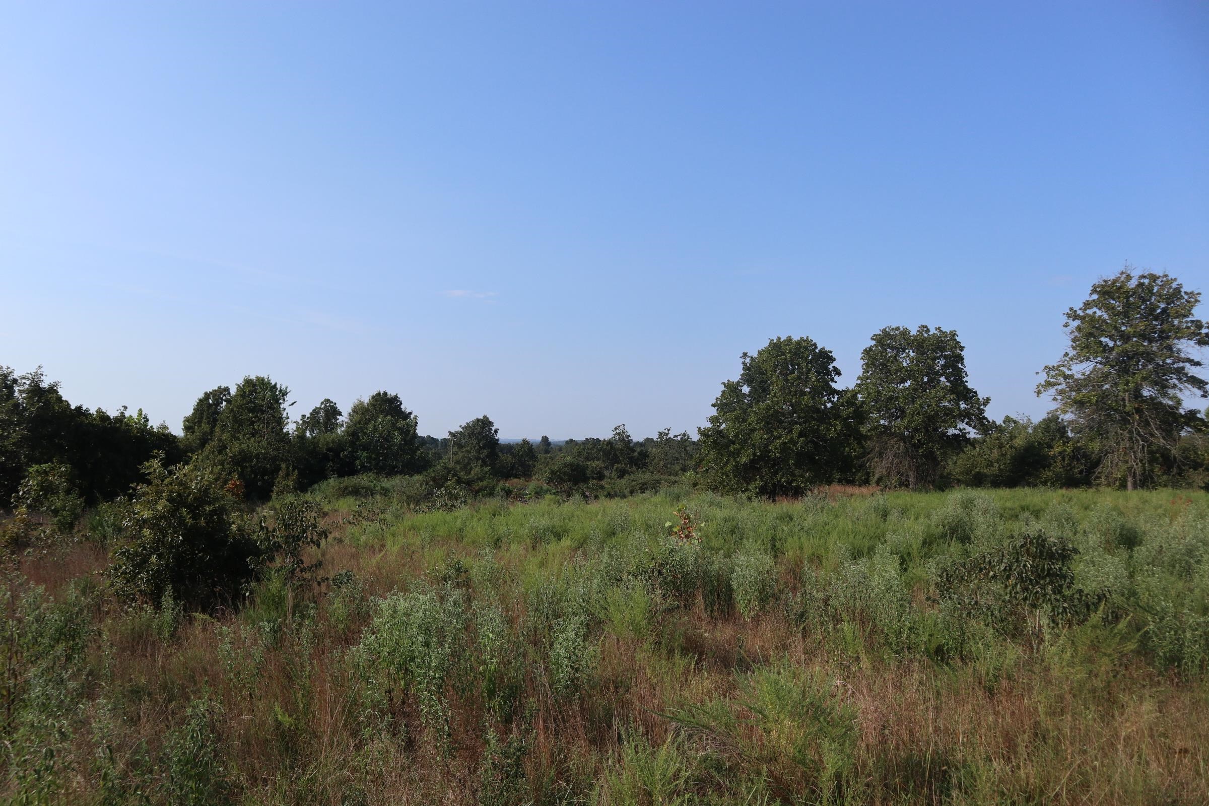 TBD Brookgrove Trl  Camp, AR