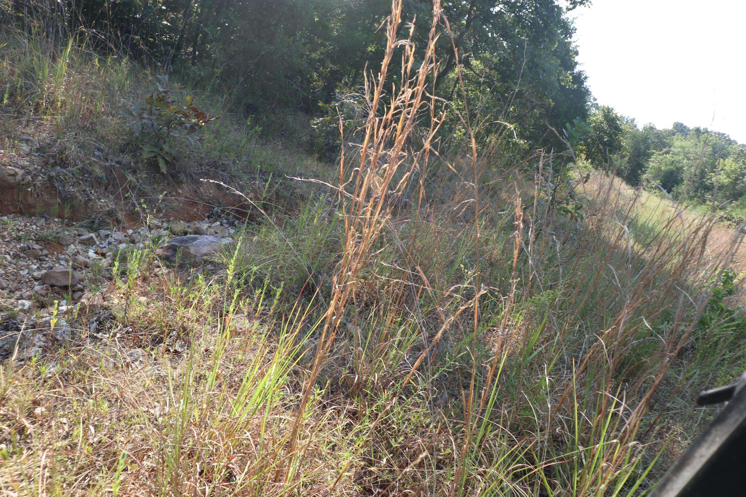 TBD Brookgrove Trl  Camp, AR