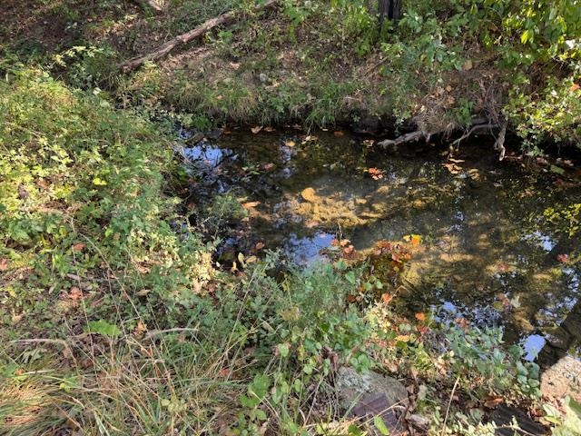 TBD Brookgrove Trl  Camp, AR