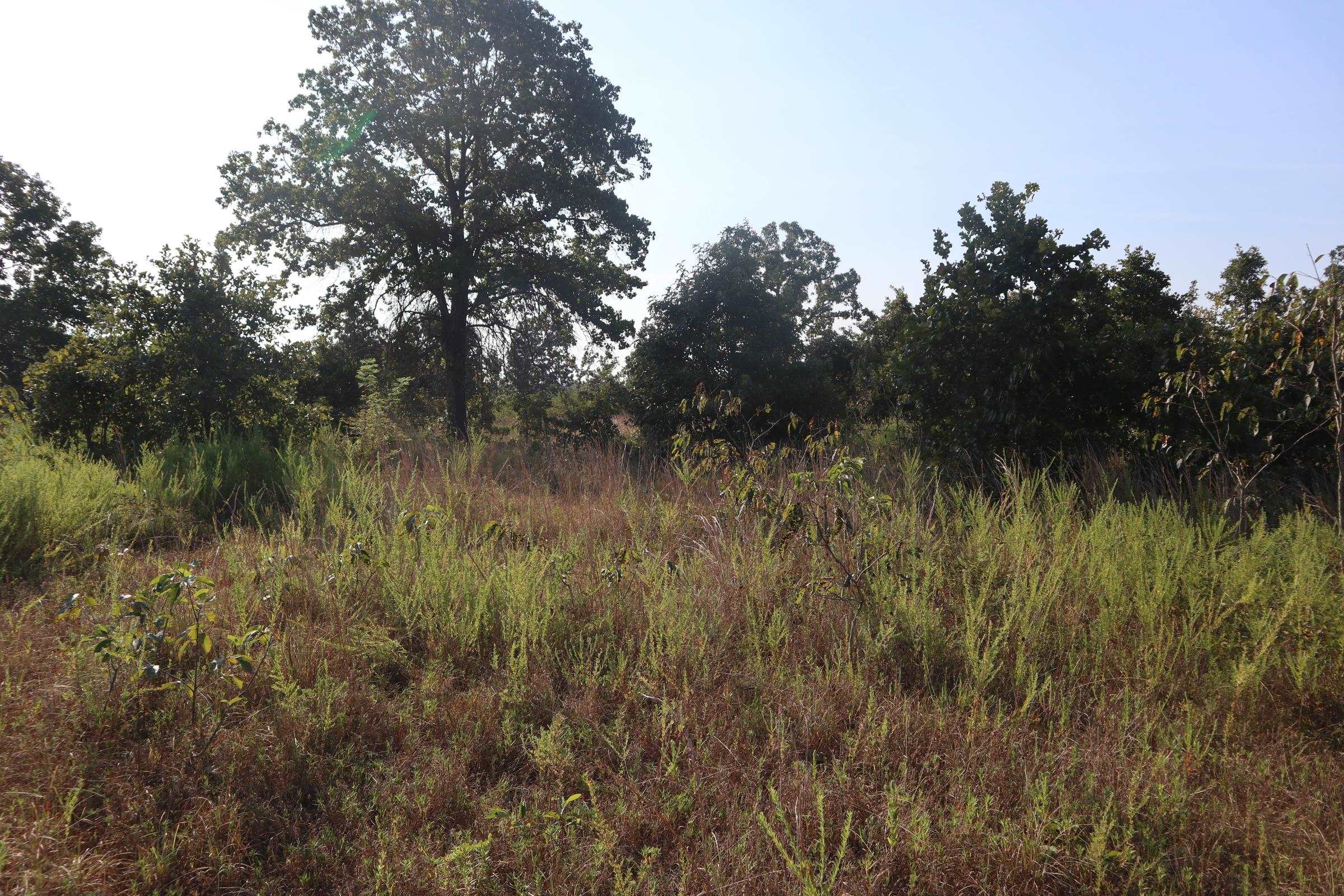 TBD Brookgrove Trl  Camp, AR