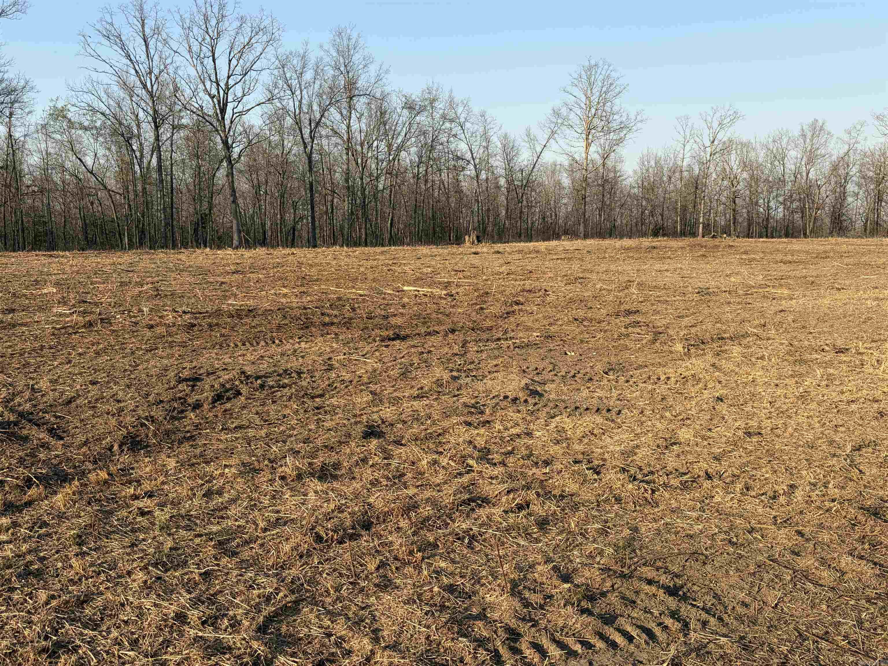 128 Brook Grove Trl  Camp, AR