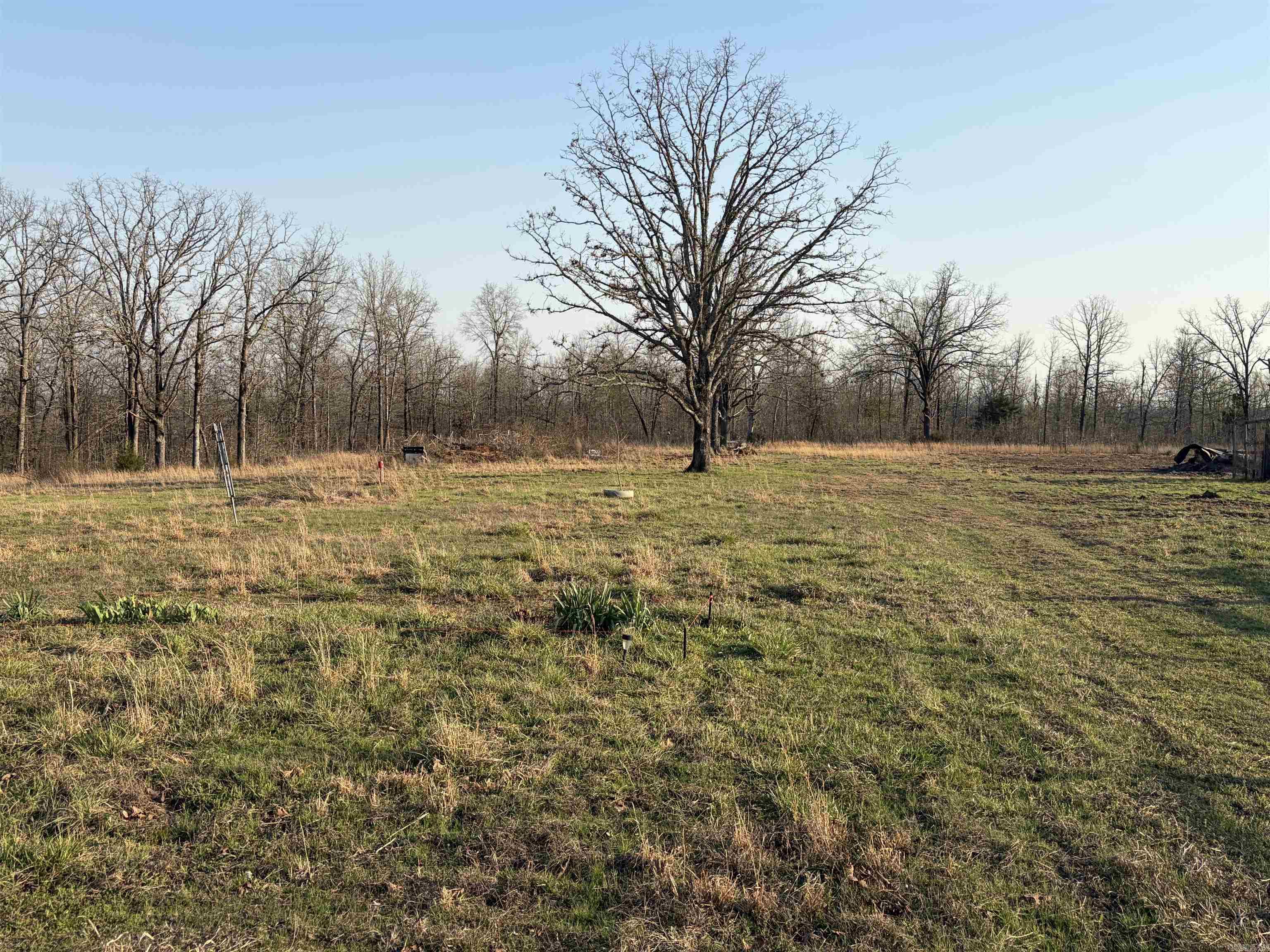 128 Brook Grove Trl  Camp, AR