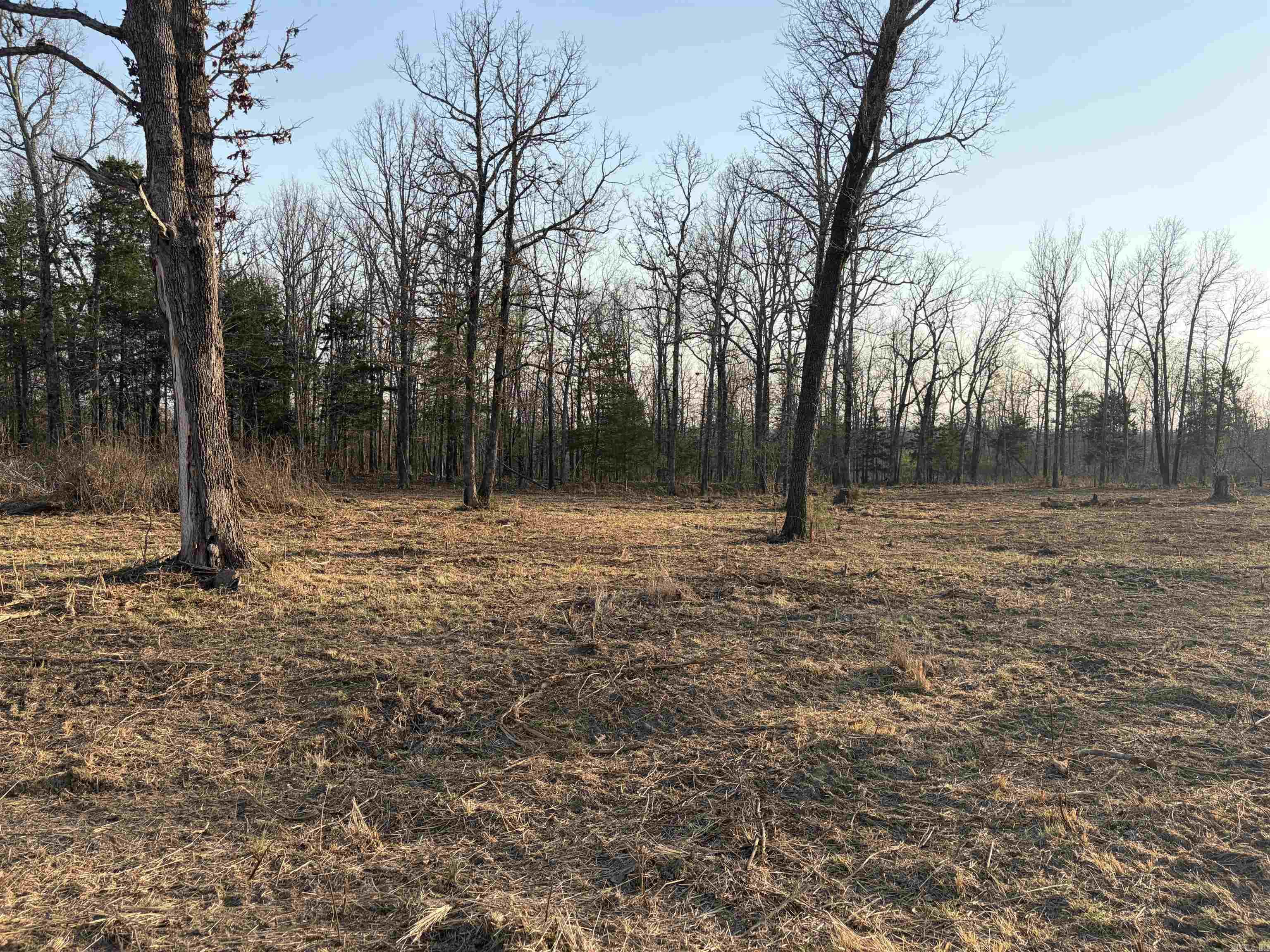 128 Brook Grove Trl  Camp, AR