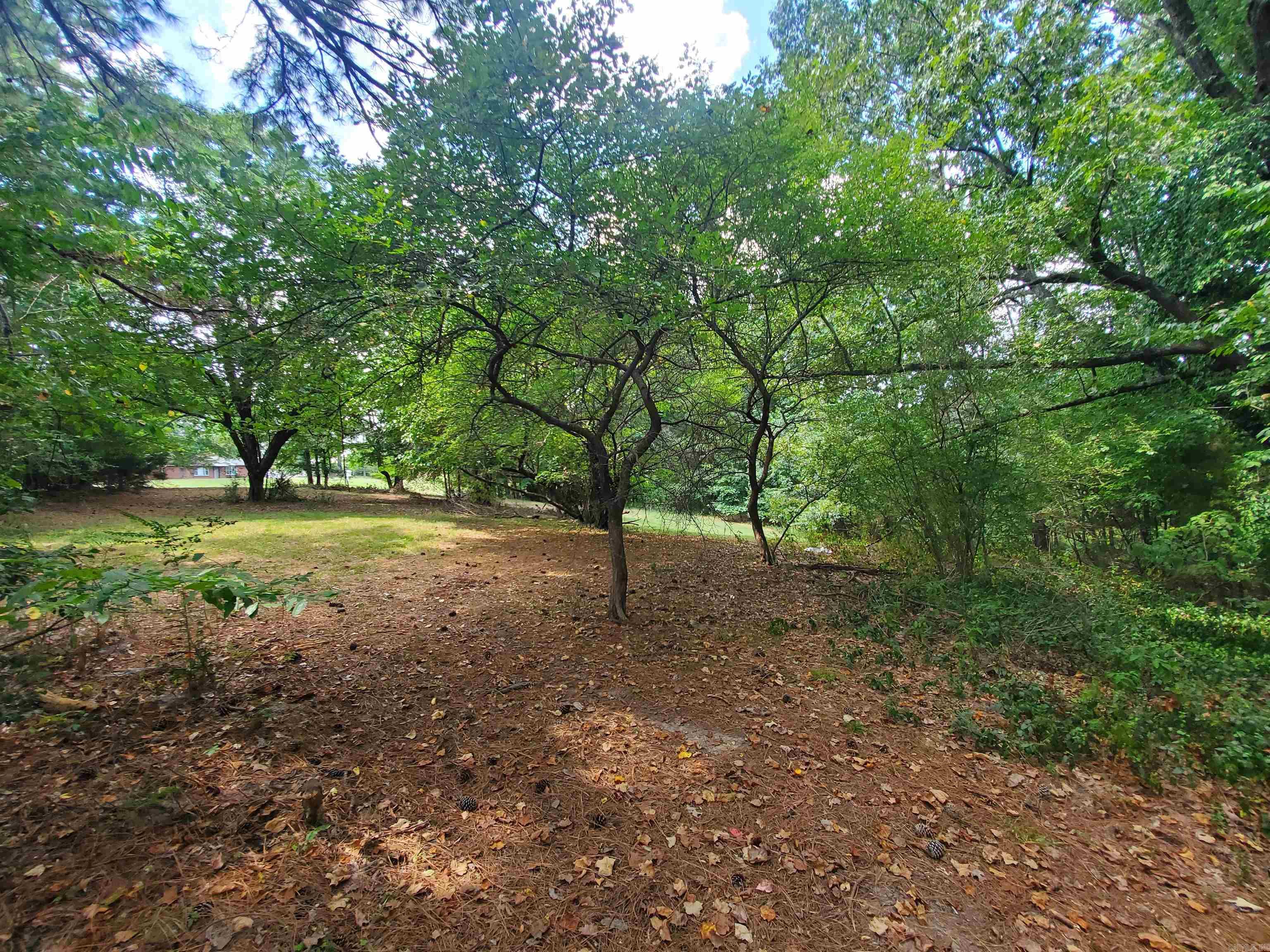 1287/1281 W North  Piggott, AR