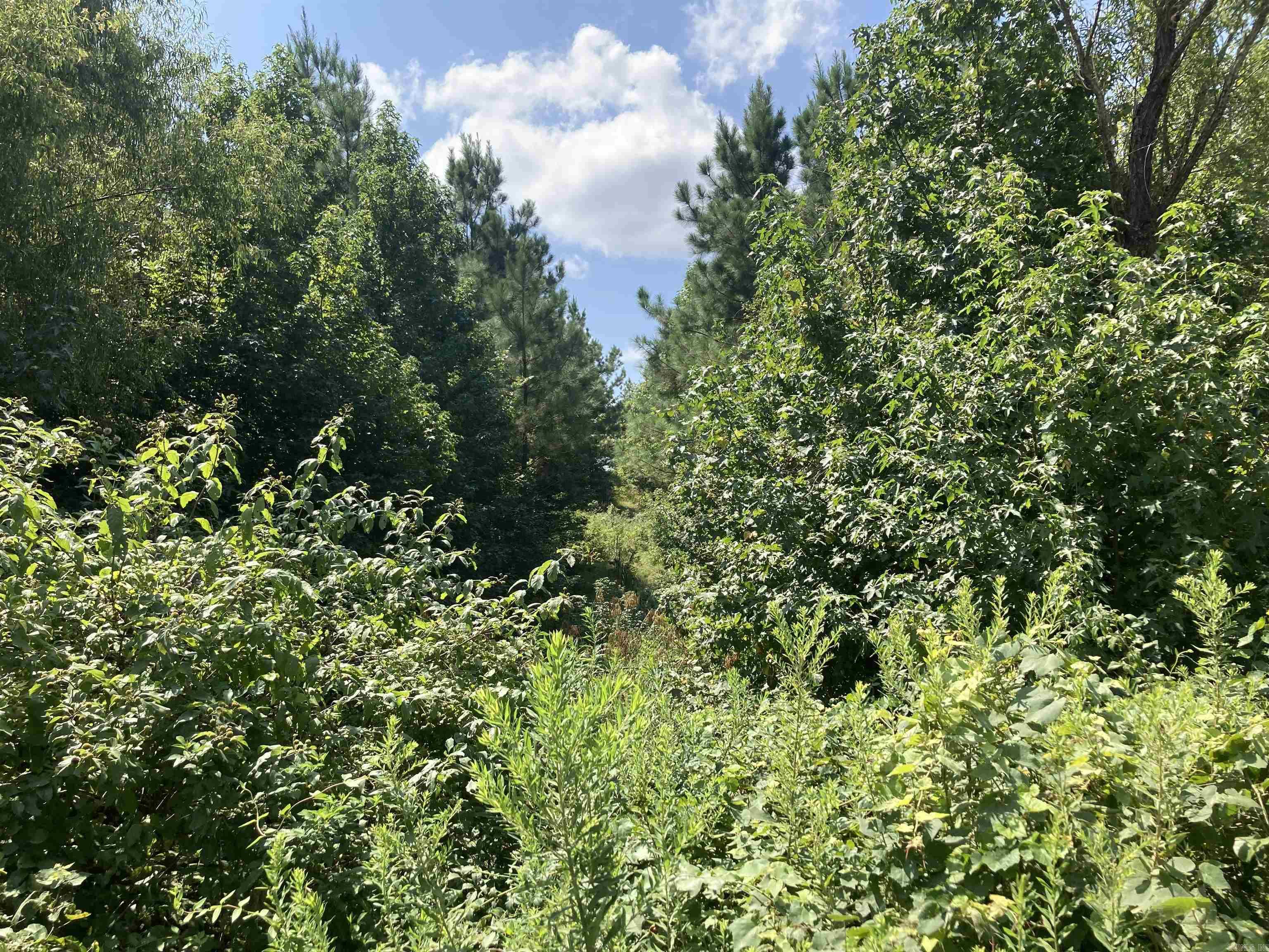 1228 Polk Road 23  Cove, AR