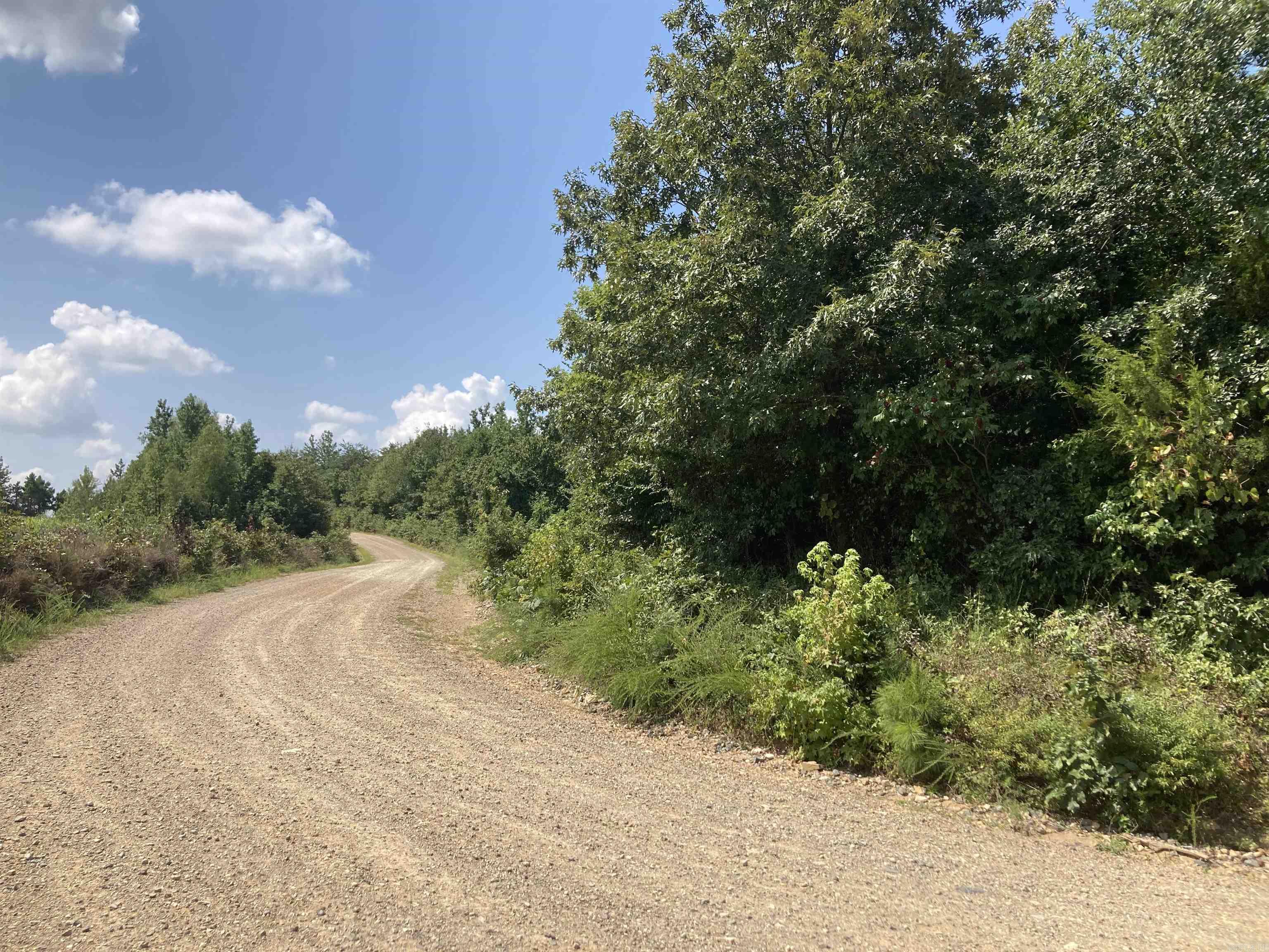 1228 Polk Road 23  Cove, AR