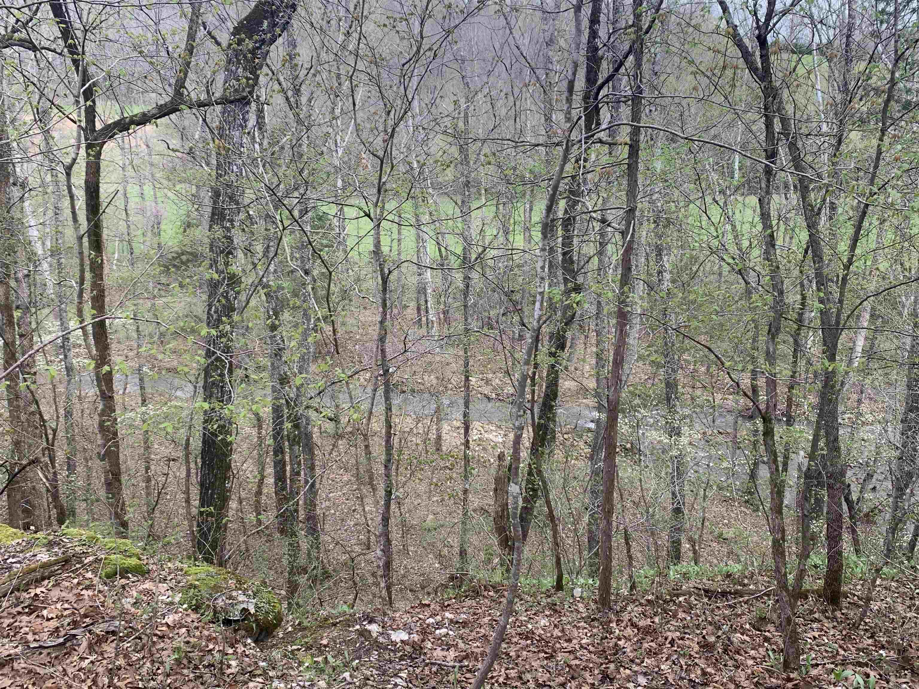  NC 2922  Marble Falls, AR