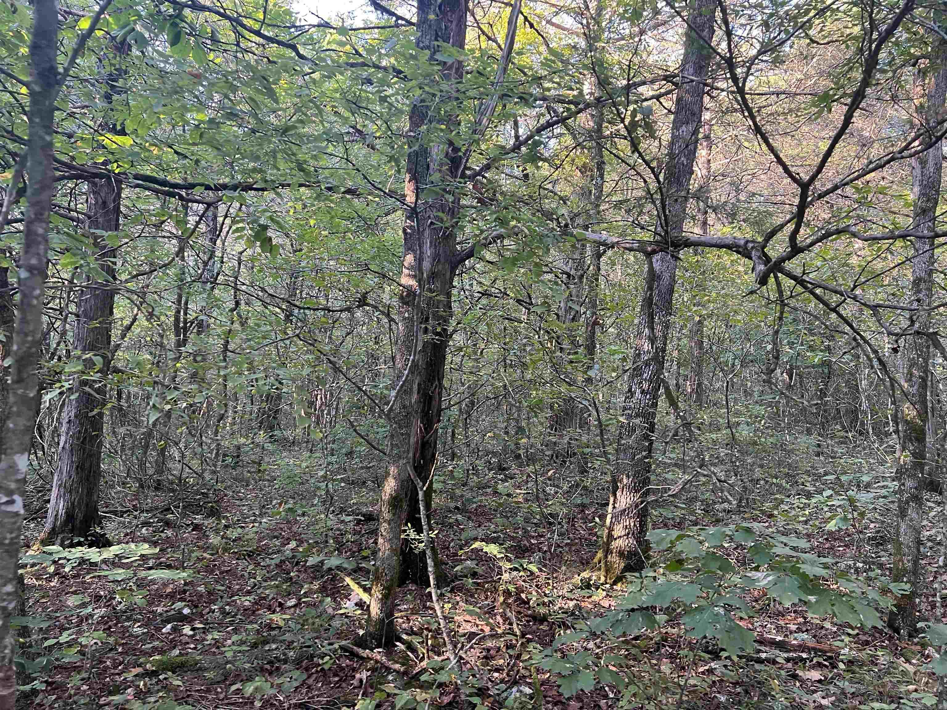  NC 2922  Marble Falls, AR