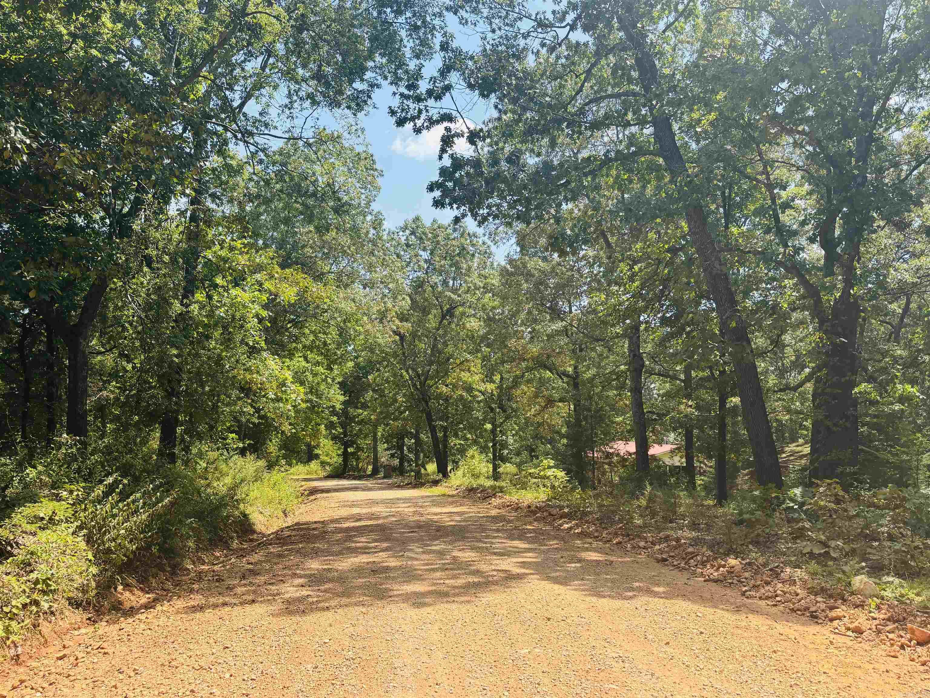 2229 Gaylor  Fifty-Six, AR