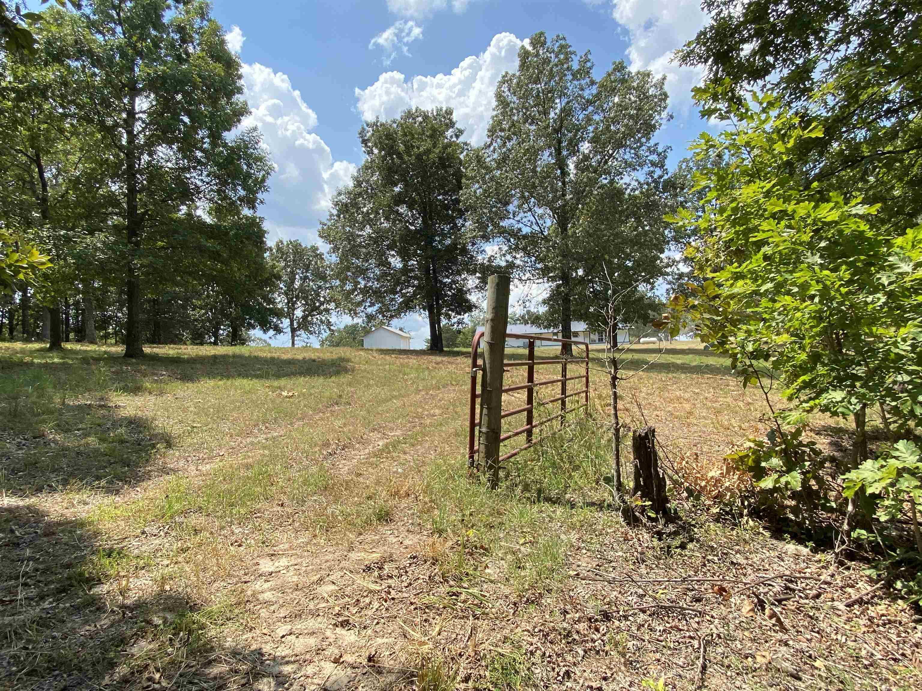 117 Lawrence 224 Imboden, AR 72434