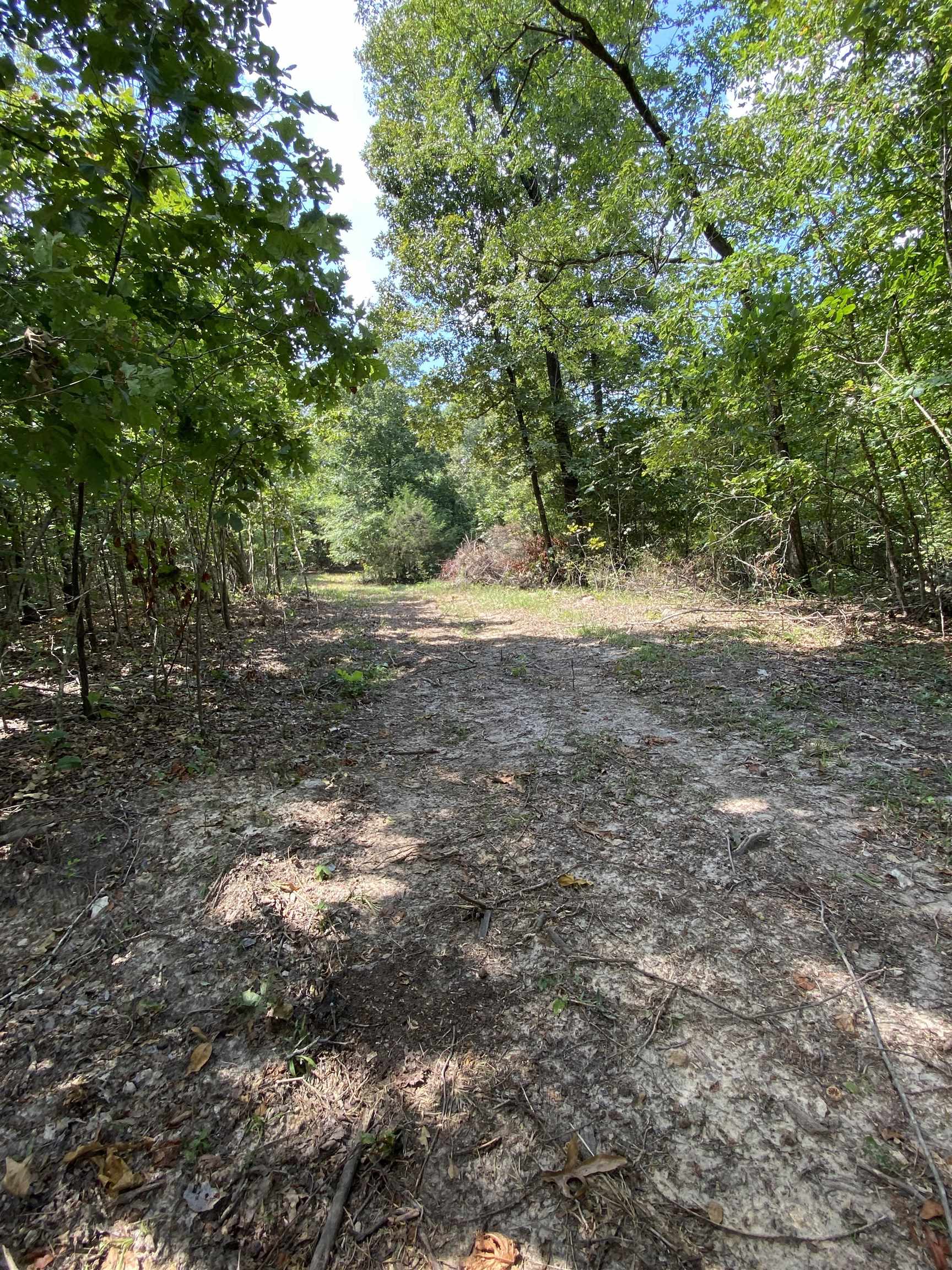 117 Lawrence 224 Imboden, AR 72434