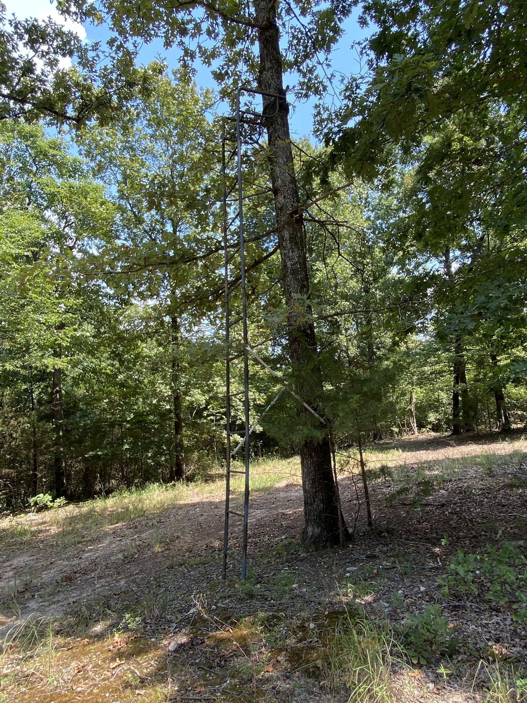 117 Lawrence 224 Imboden, AR 72434