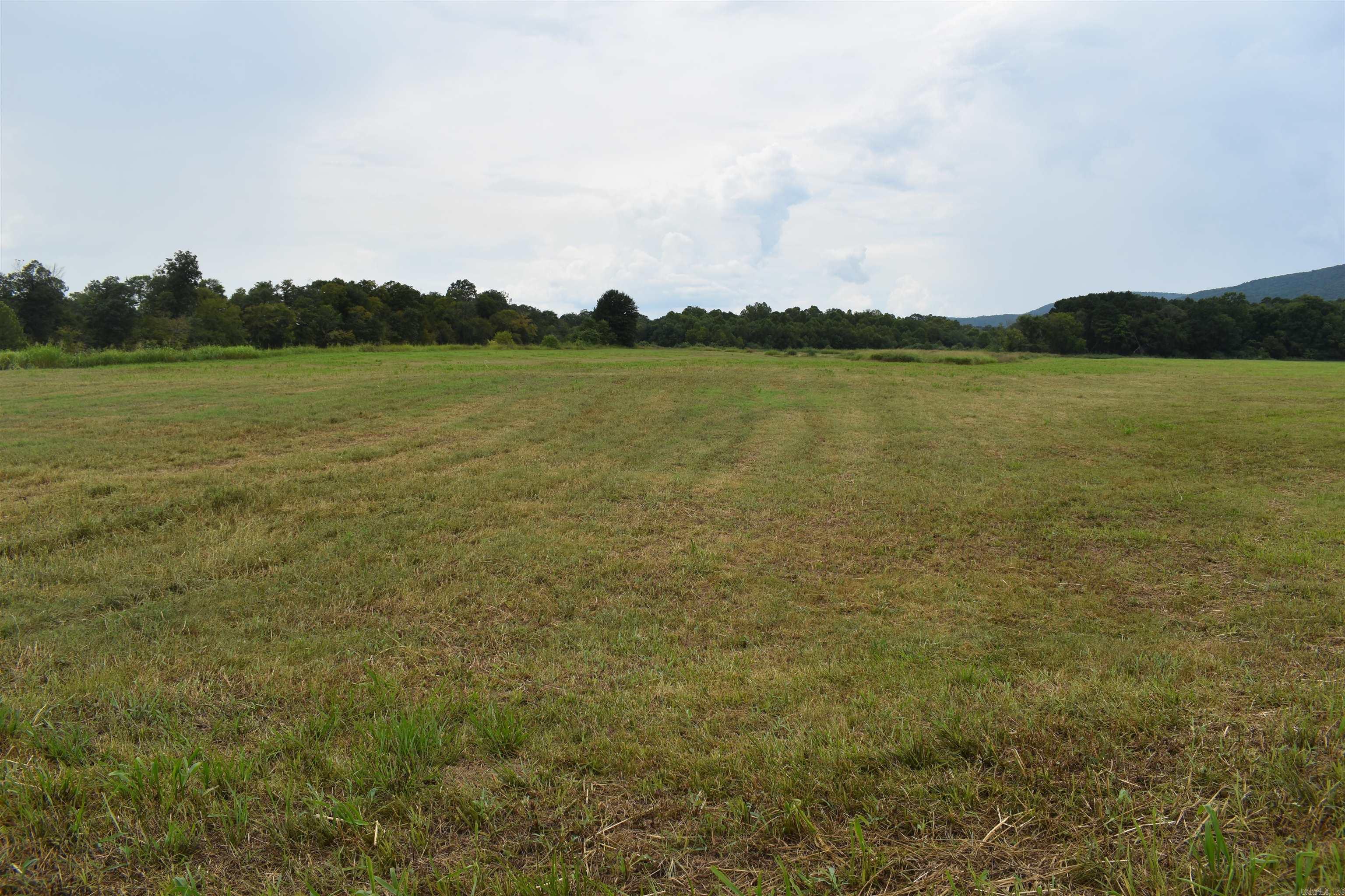 36 Missy Ridge  Oden, AR