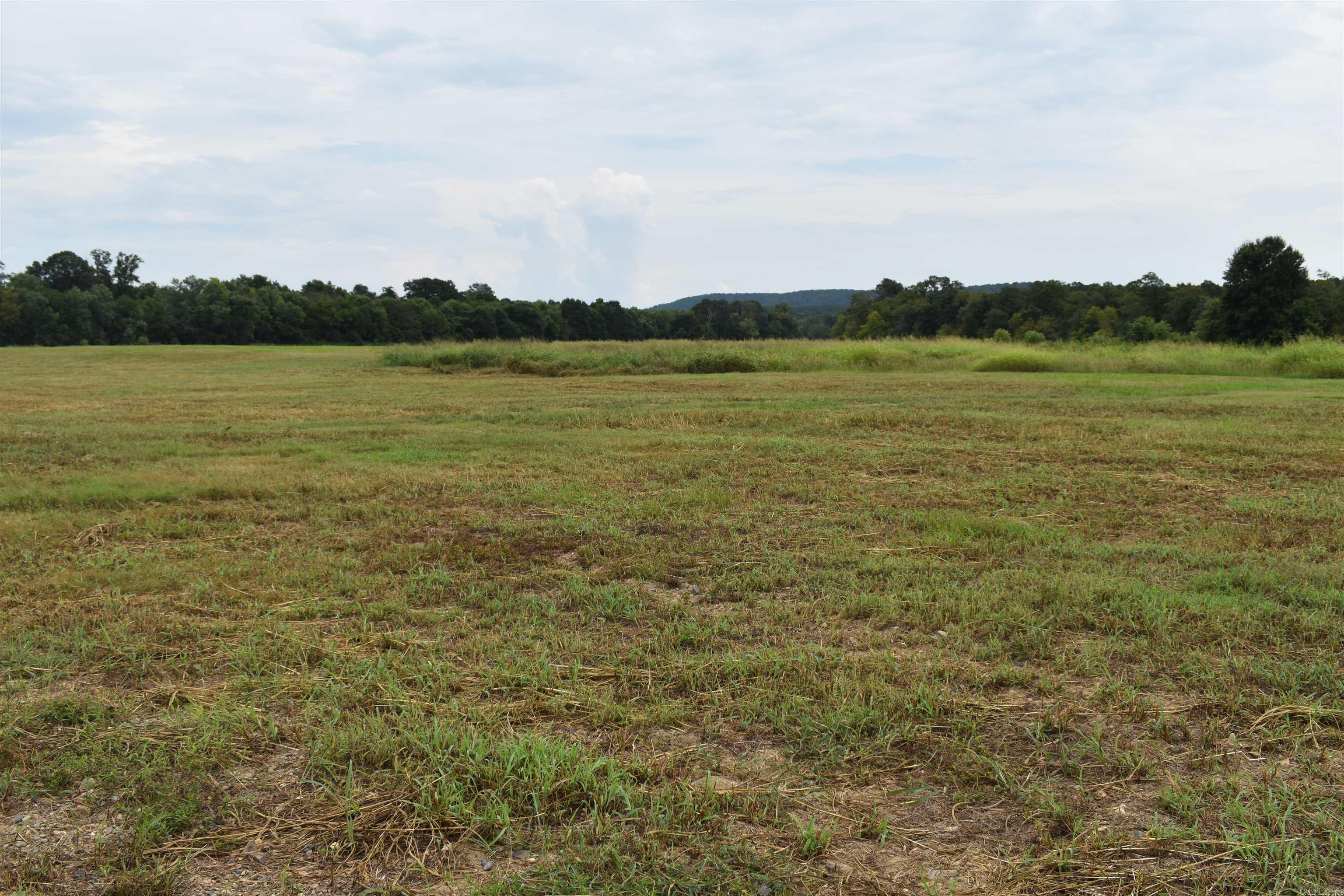 36 Missy Ridge  Oden, AR